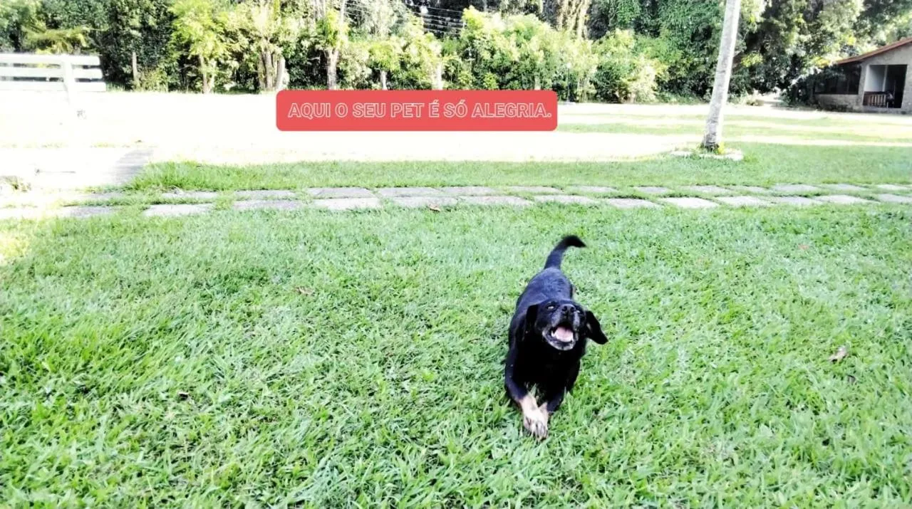 Pets in Pousada Tapera