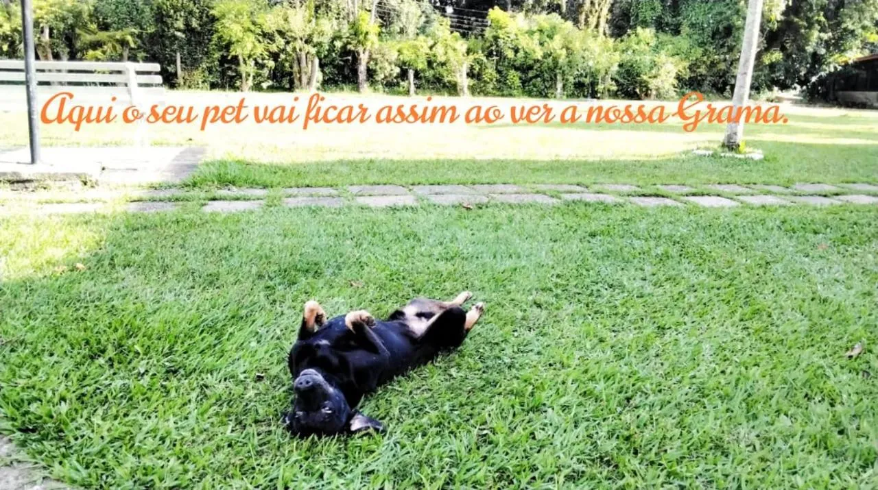 Animals in Pousada Tapera