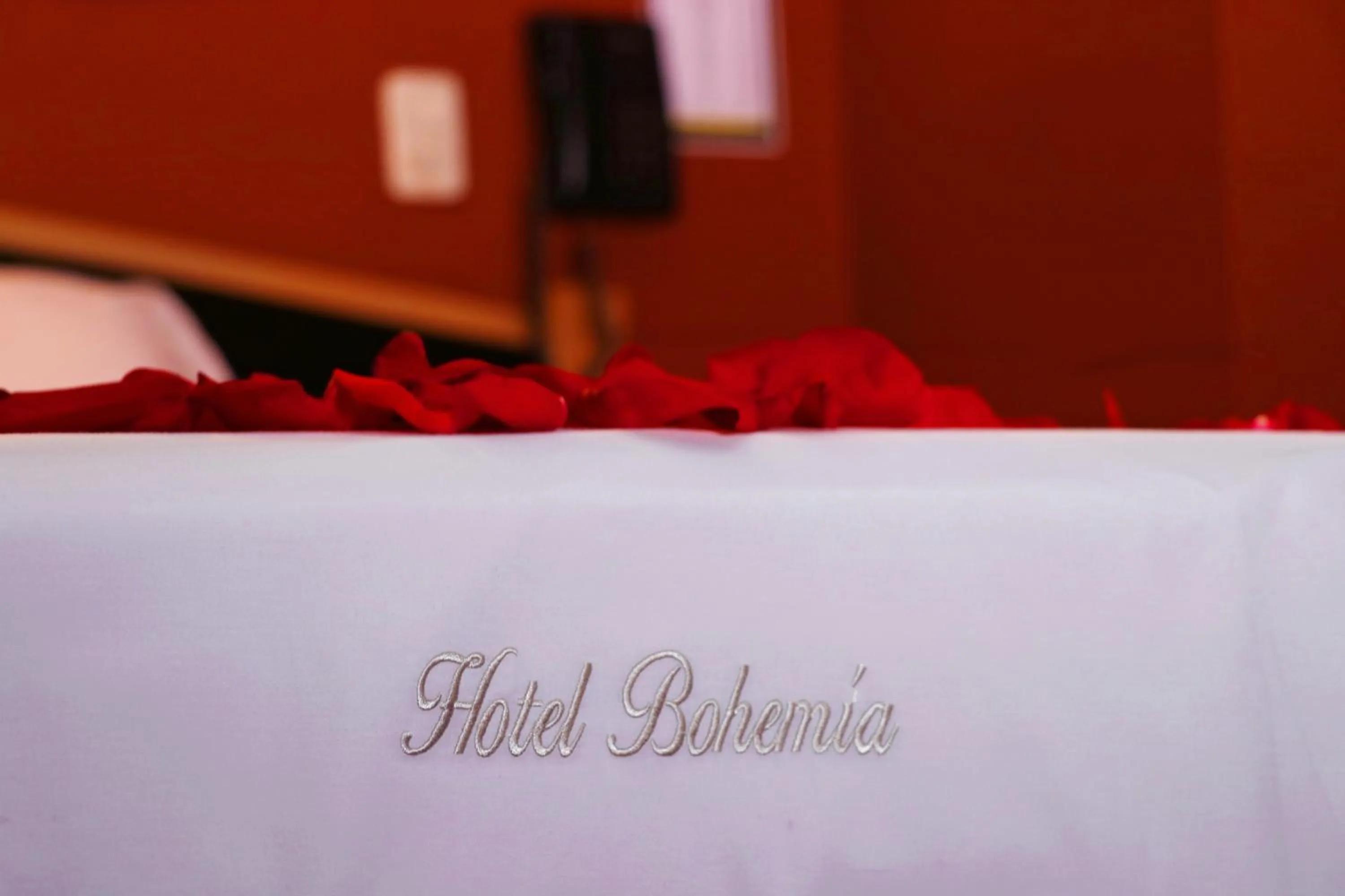 Hotel Bohemia