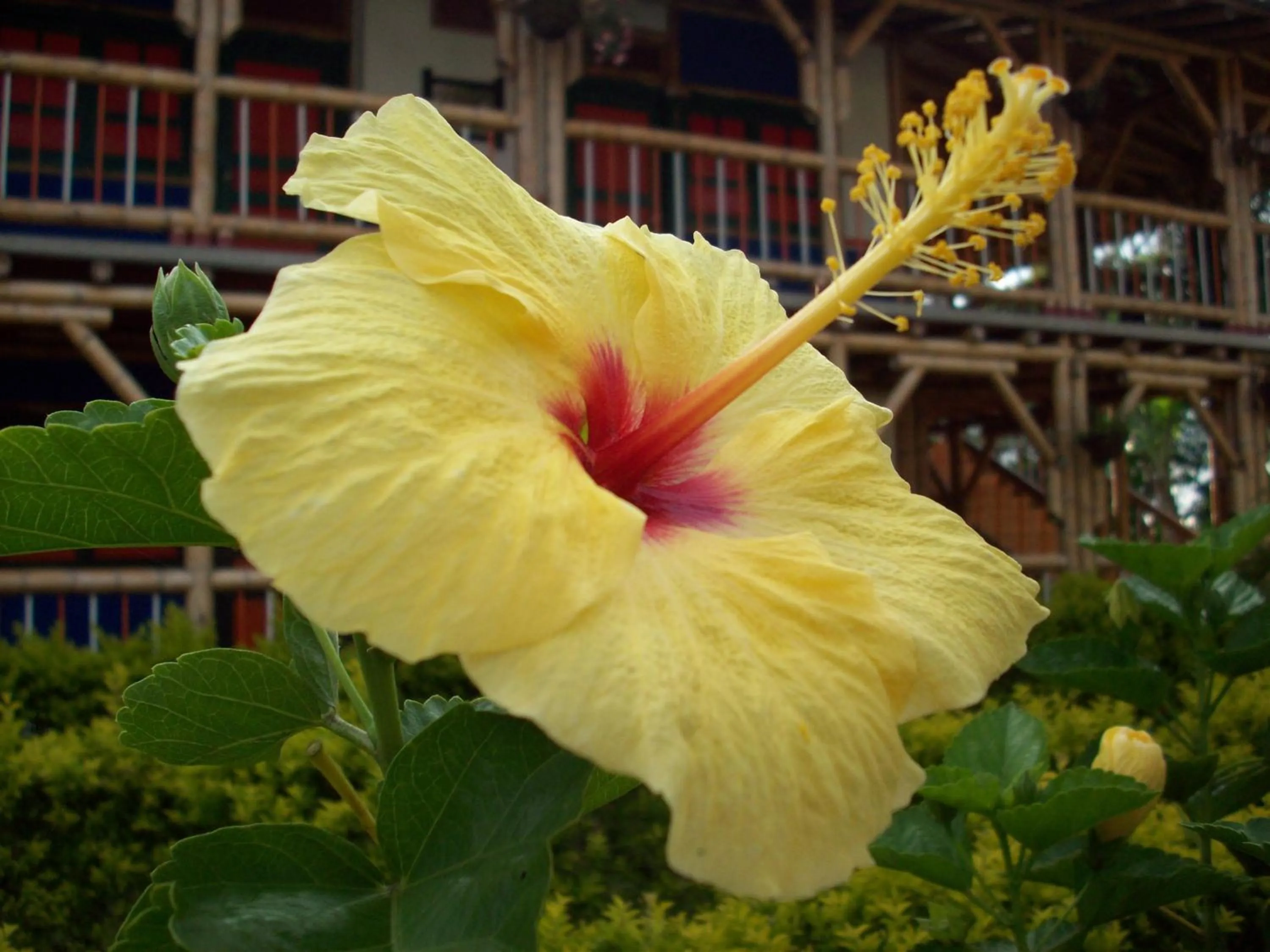 Off site in Finca Hotel La Dulcera