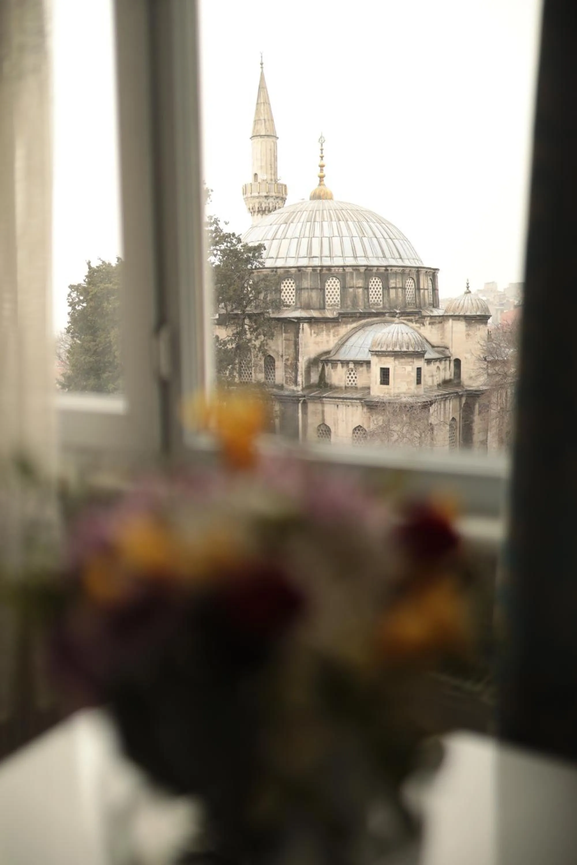 View (from property/room) in White Pearl Apart Hotel