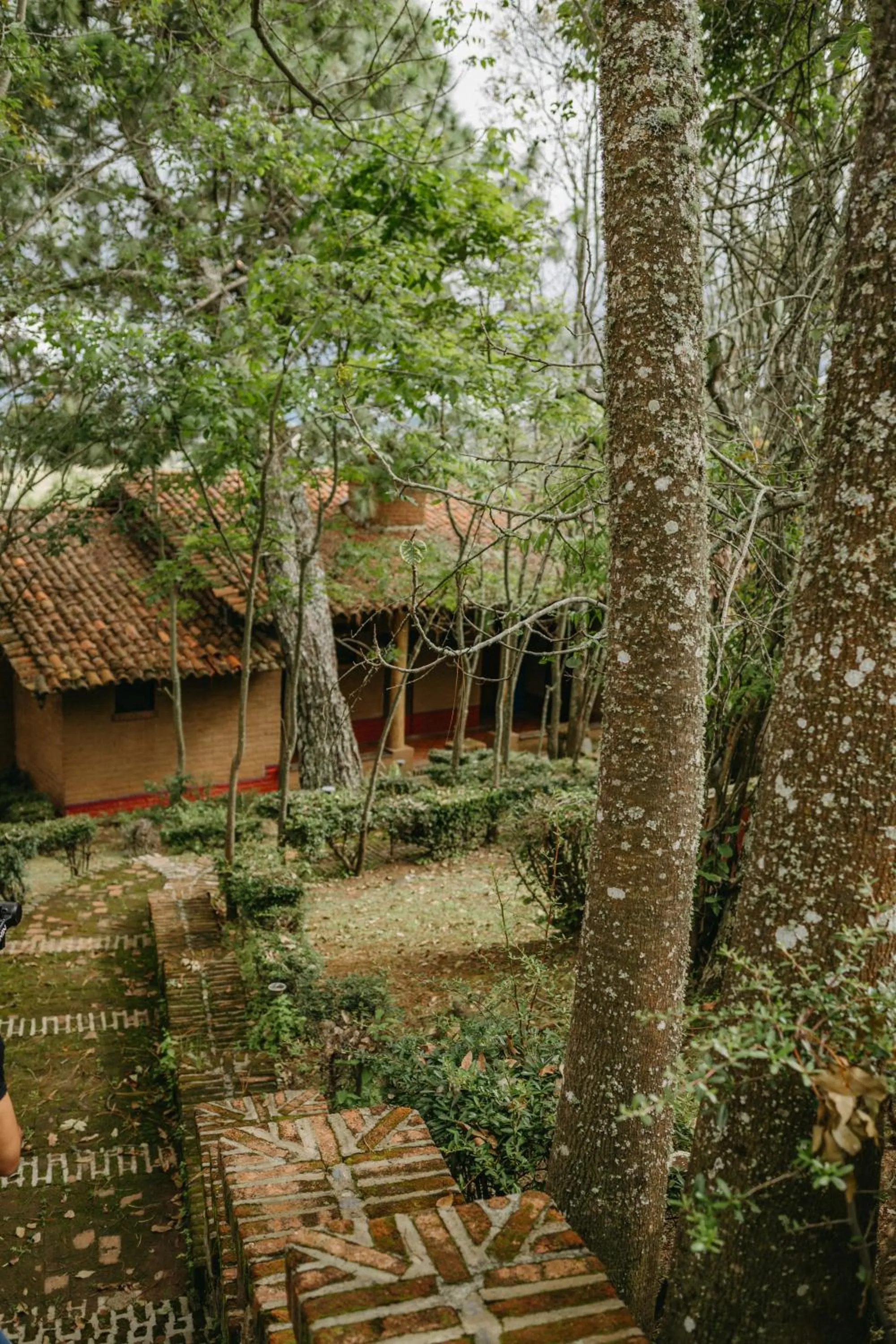 Off site in Tapalpa Country Club Hotel