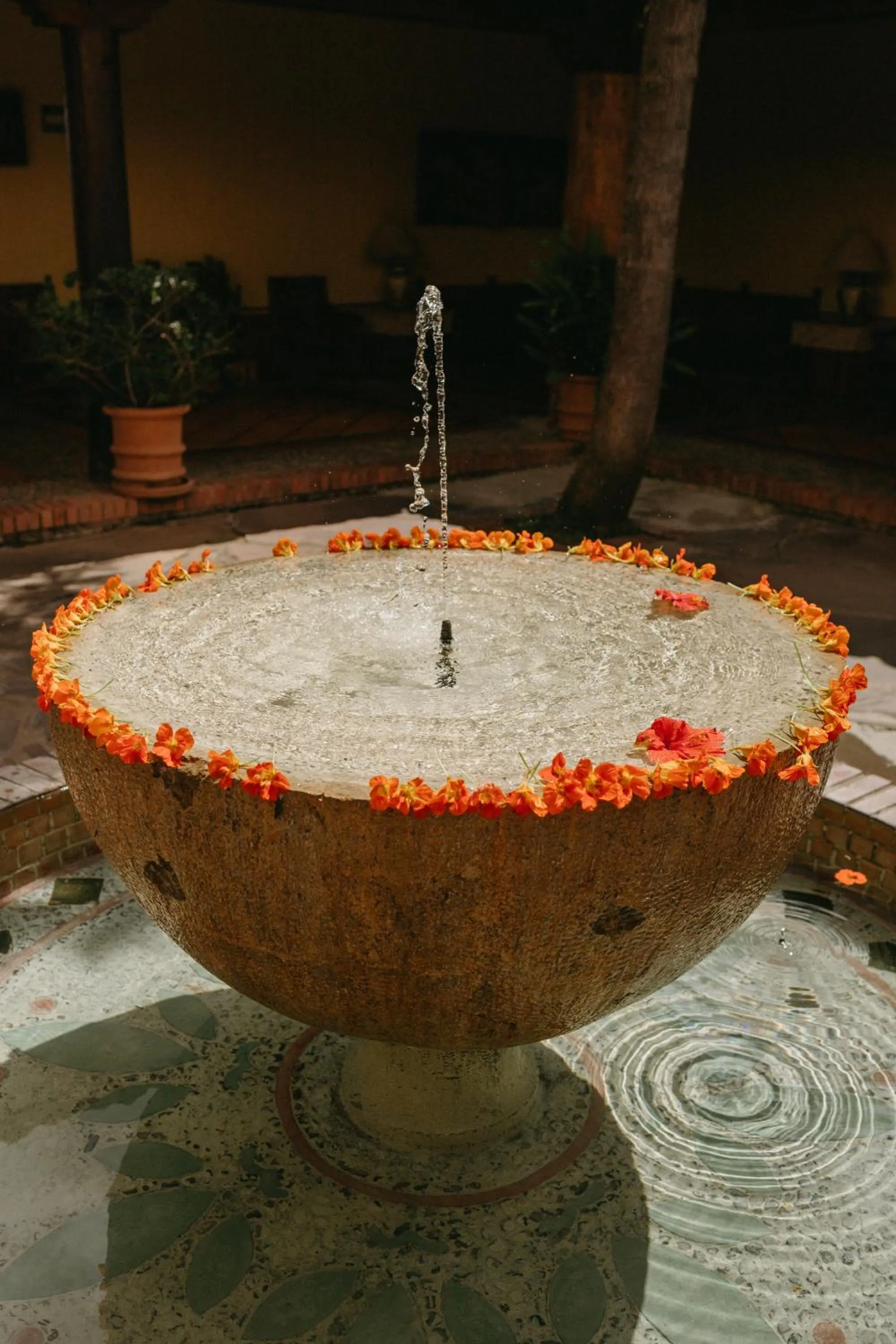 Lobby or reception in Tapalpa Country Club Hotel
