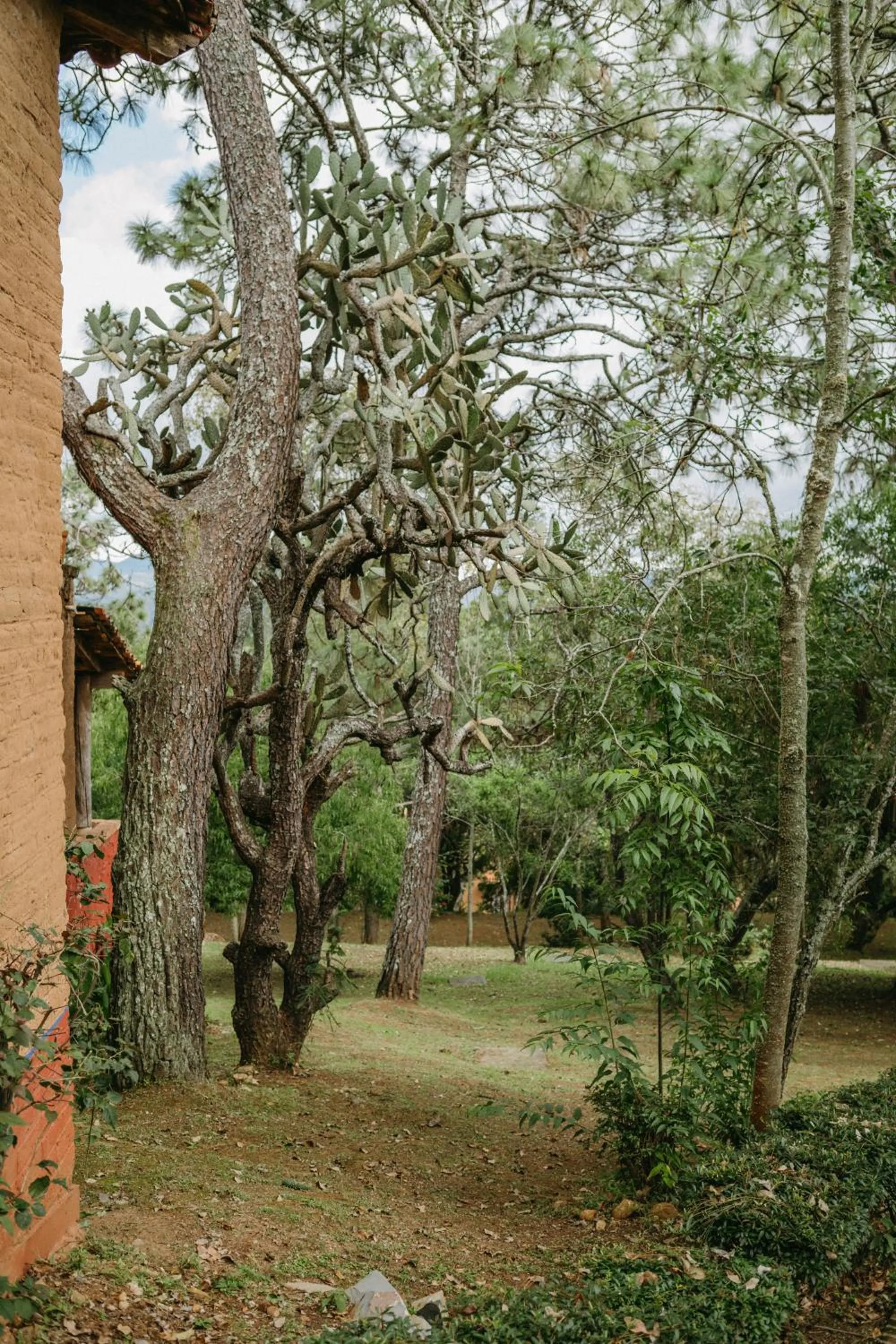 Off site in Tapalpa Country Club Hotel