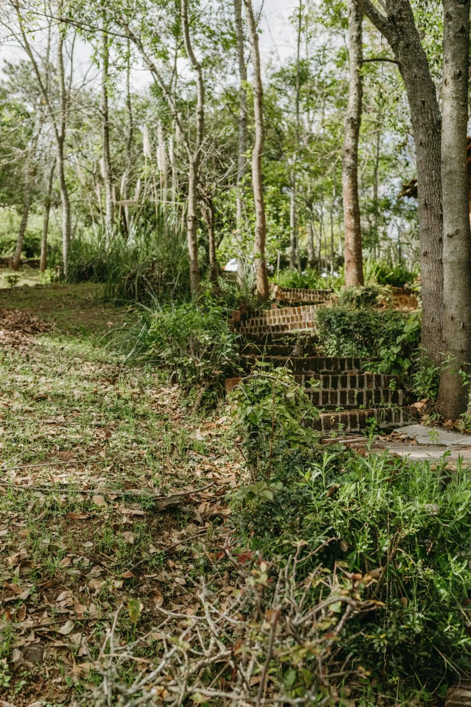 Off site in Tapalpa Country Club Hotel