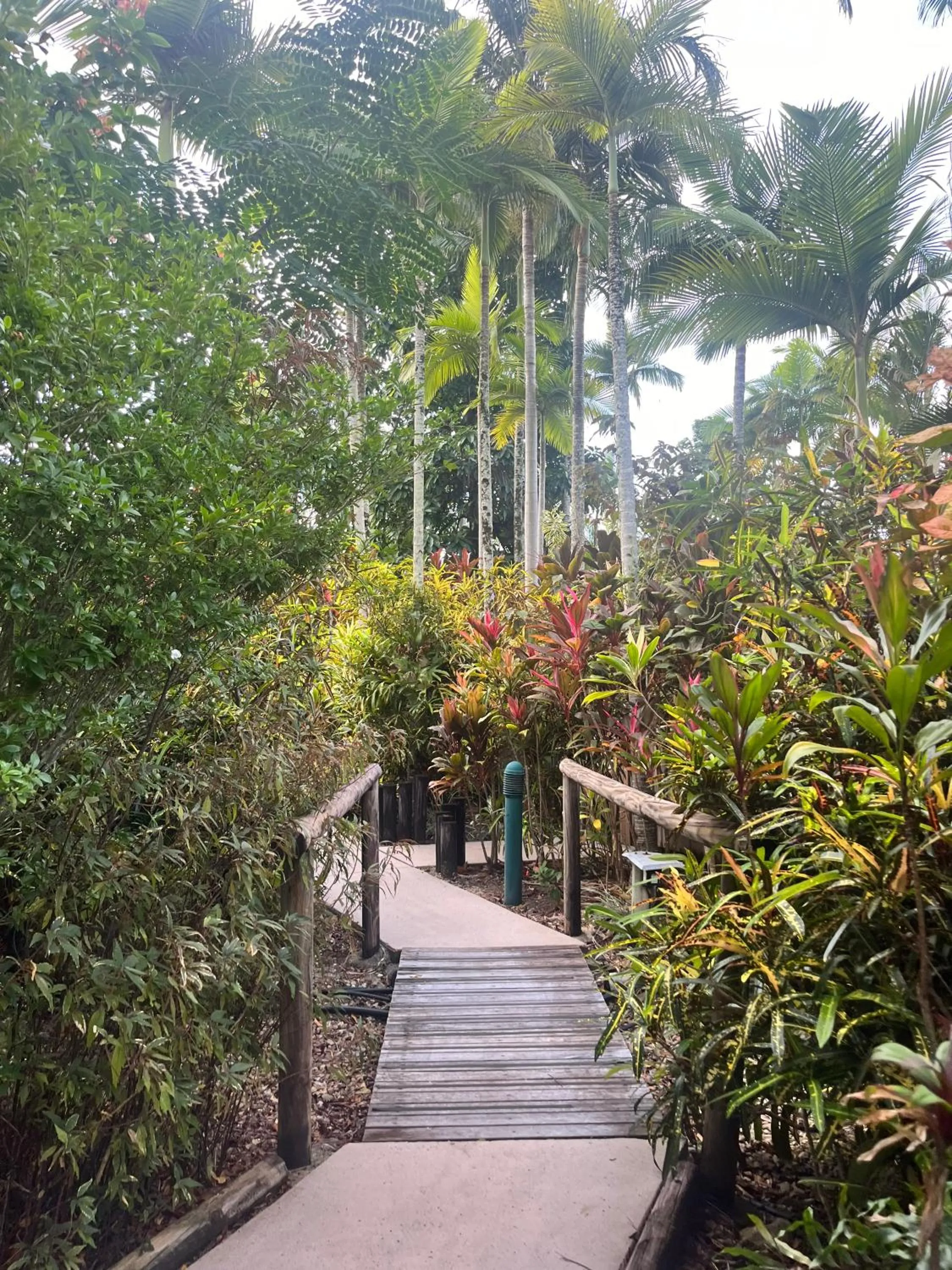 Garden in The Villas Palm Cove-PRIVATE POOL in each villa