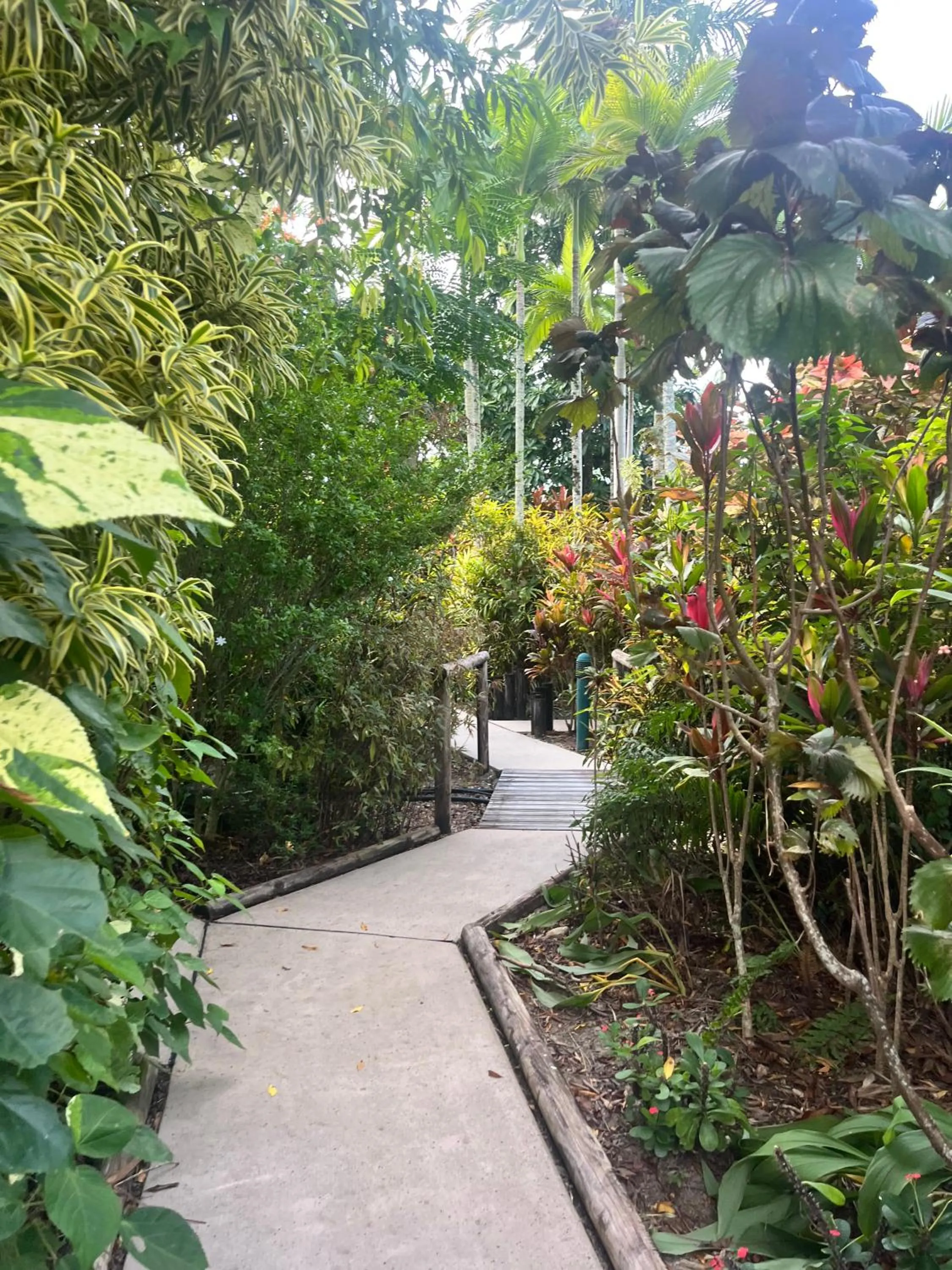 Garden in The Villas Palm Cove-PRIVATE POOL in each villa
