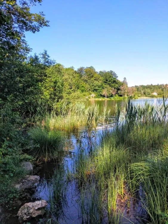 Chambre d'hôtes Comme une évidence Clairvaux-les-lacs