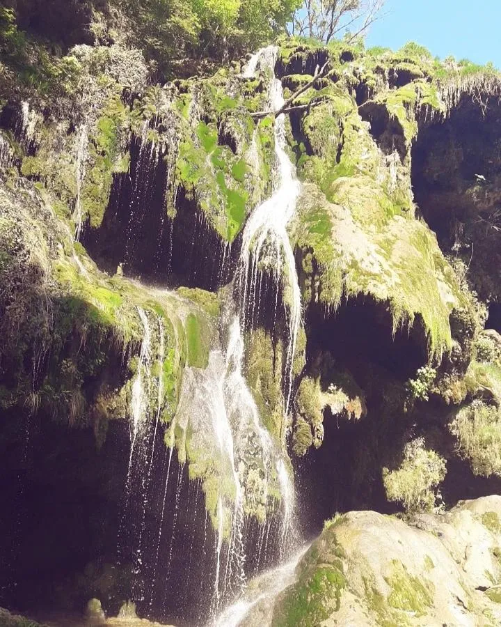 Natural landscape in Chambre d'hôtes Comme une évidence Clairvaux-les-lacs