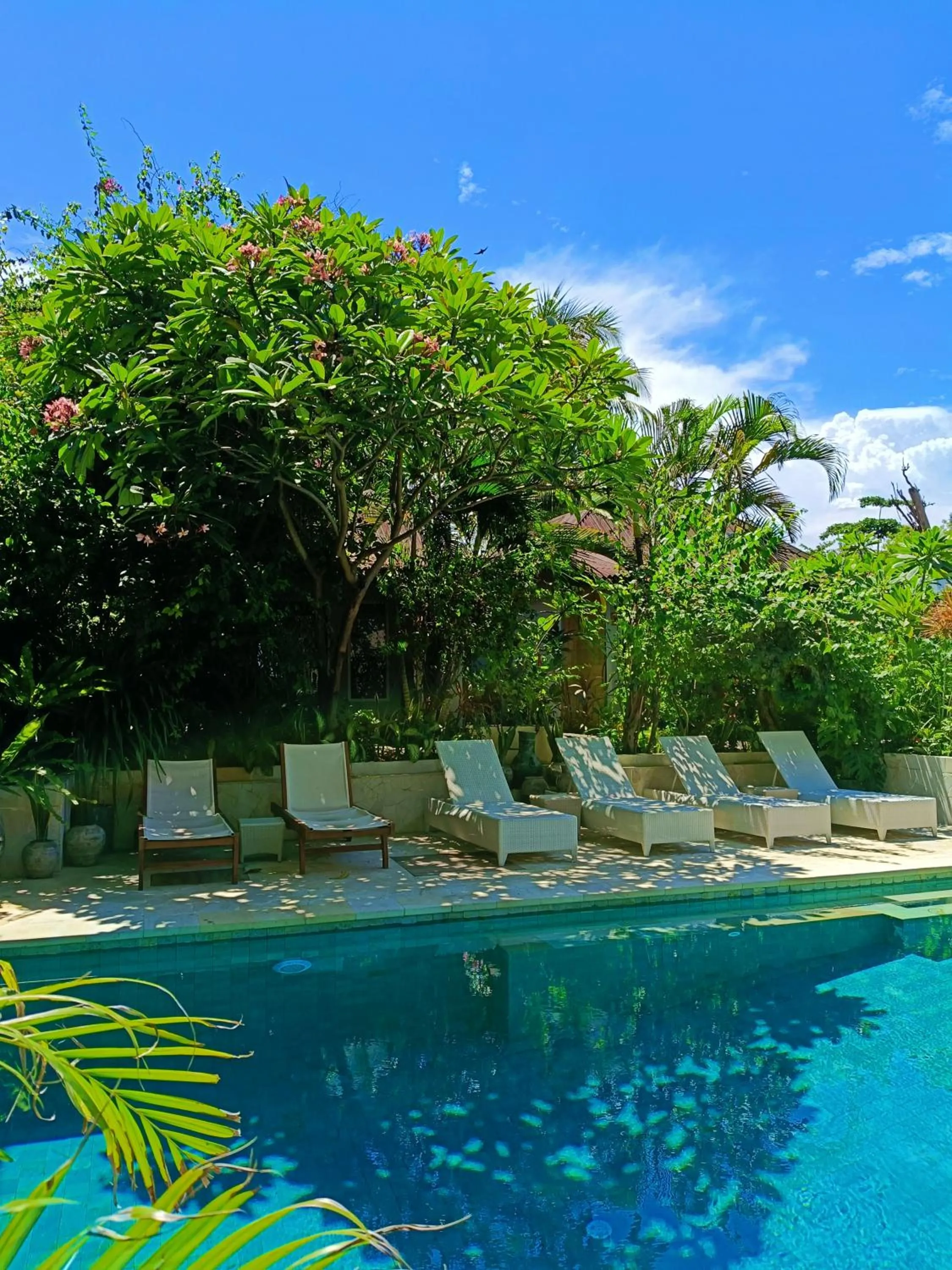 Pool view in Bale Sampan Boutique Bungalows