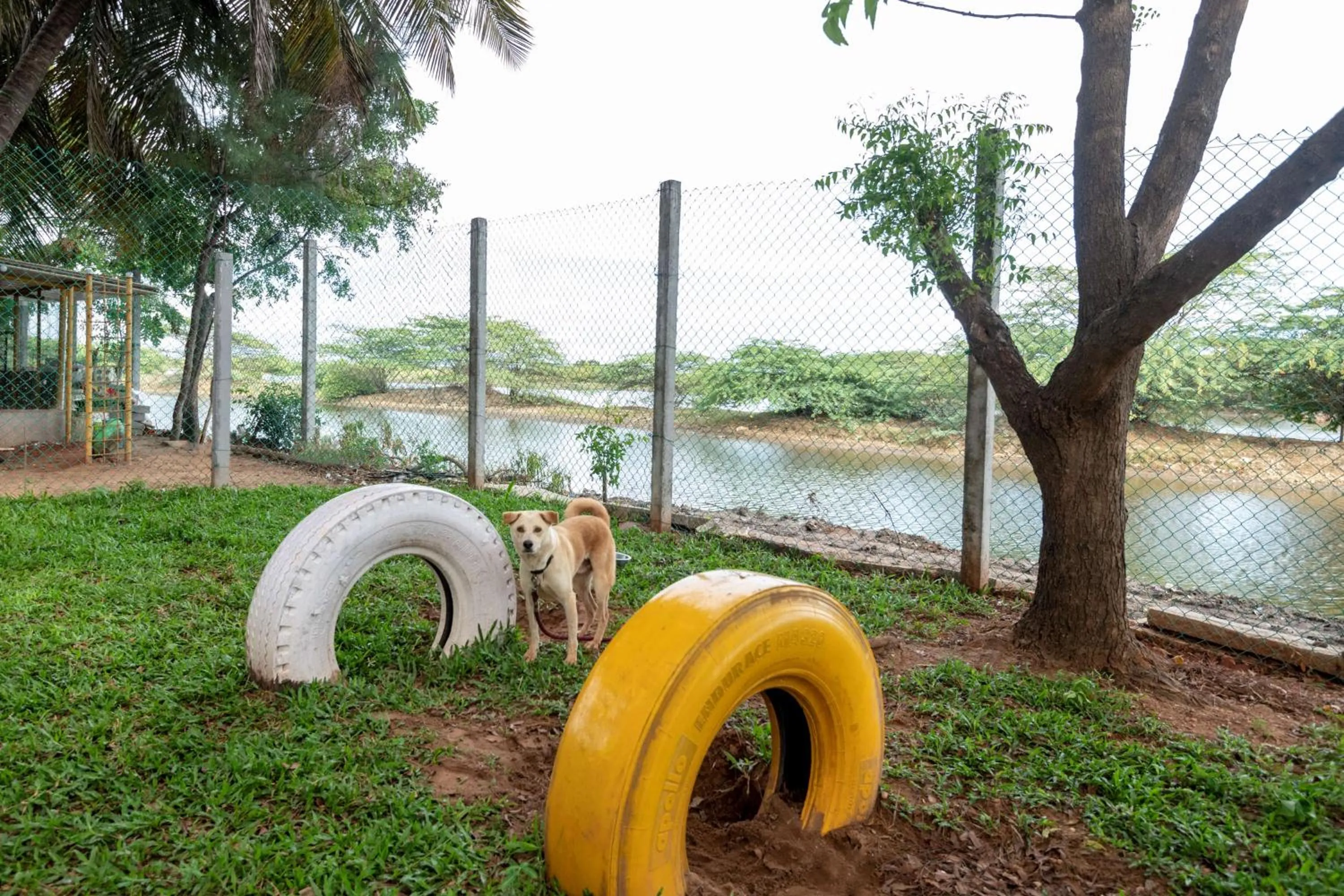 Natural landscape in Radisson Resort Pondicherry Bay