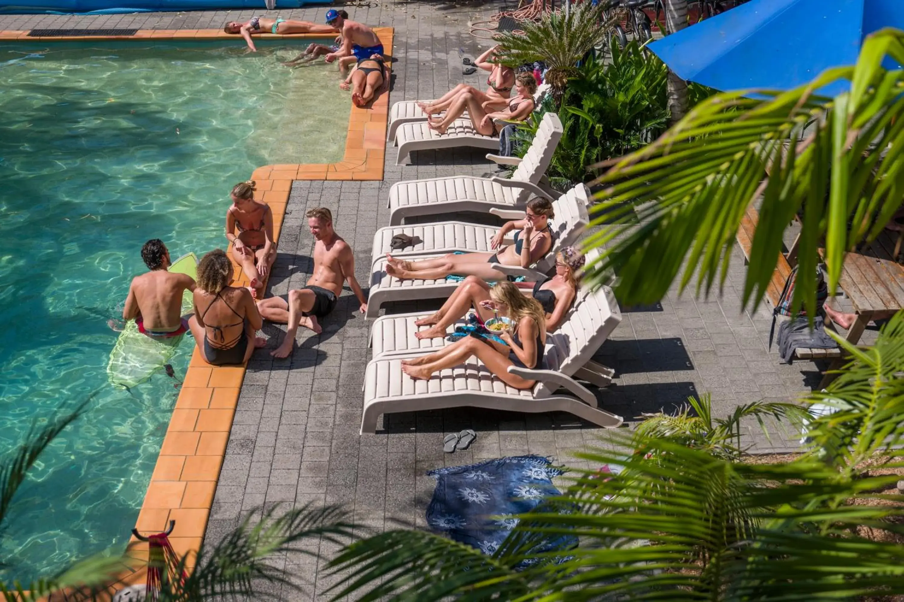 Swimming pool in YHA Cape Byron, Byron Bay