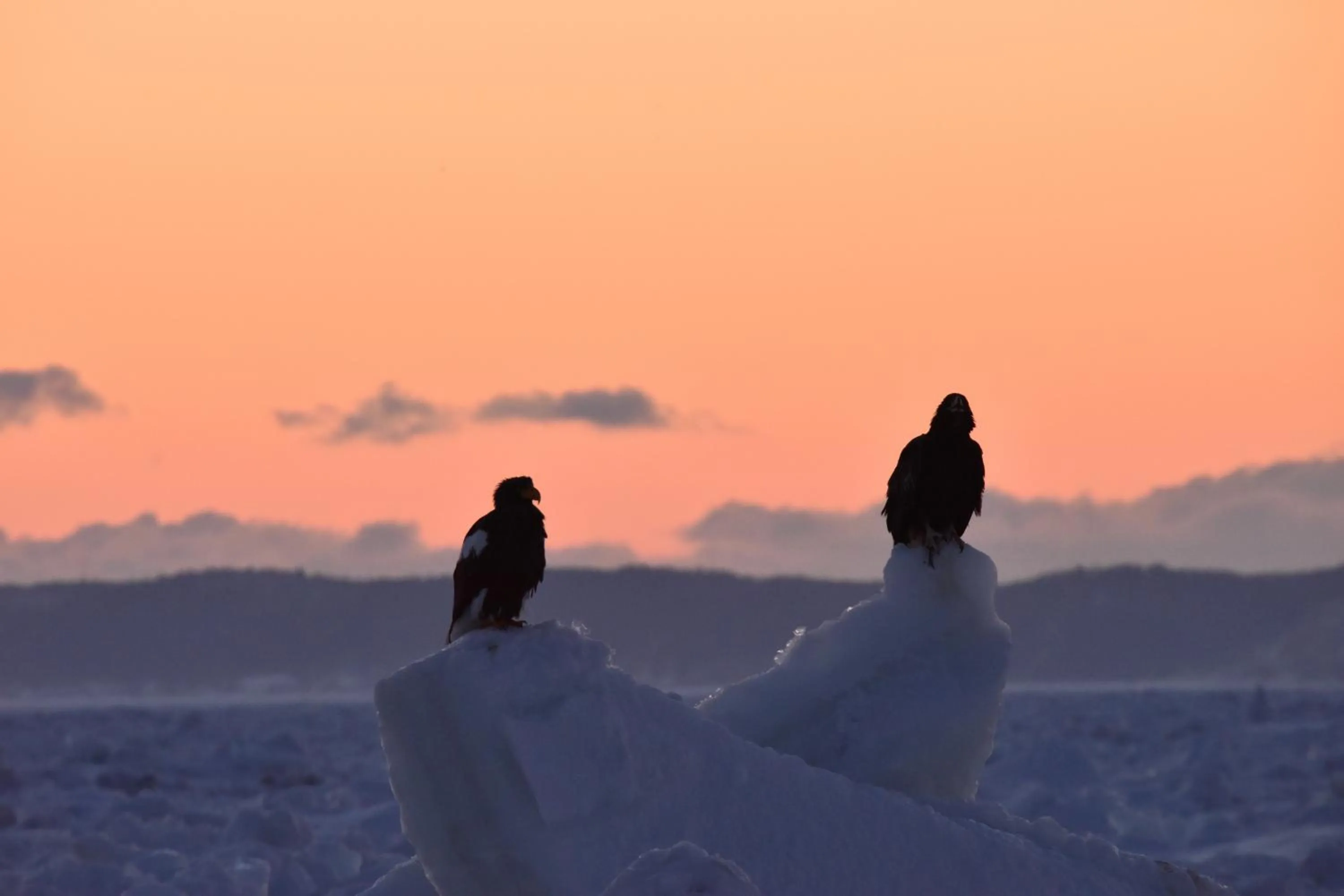 Winter in Shiretokoserai