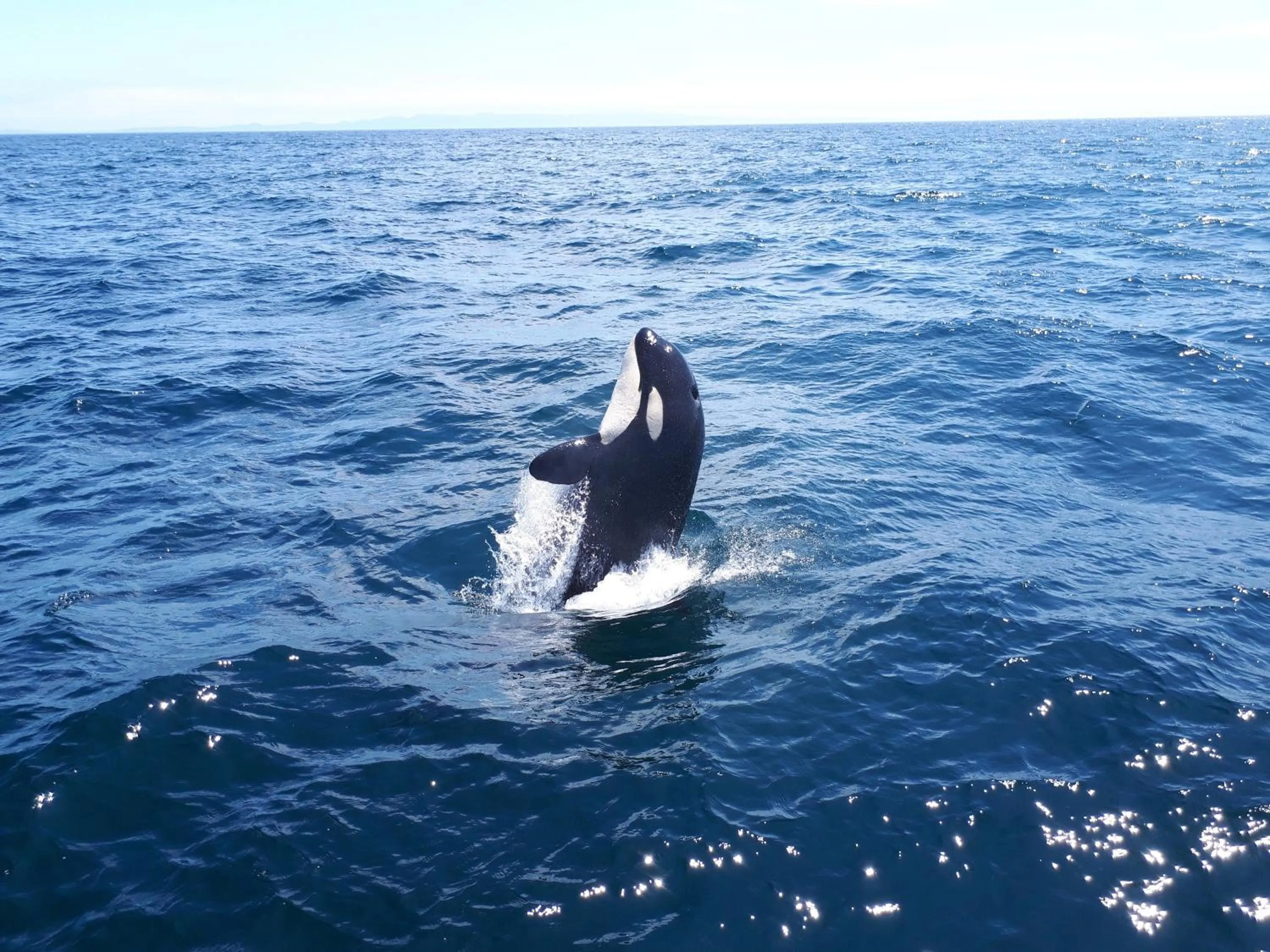 Natural landscape in Shiretokoserai