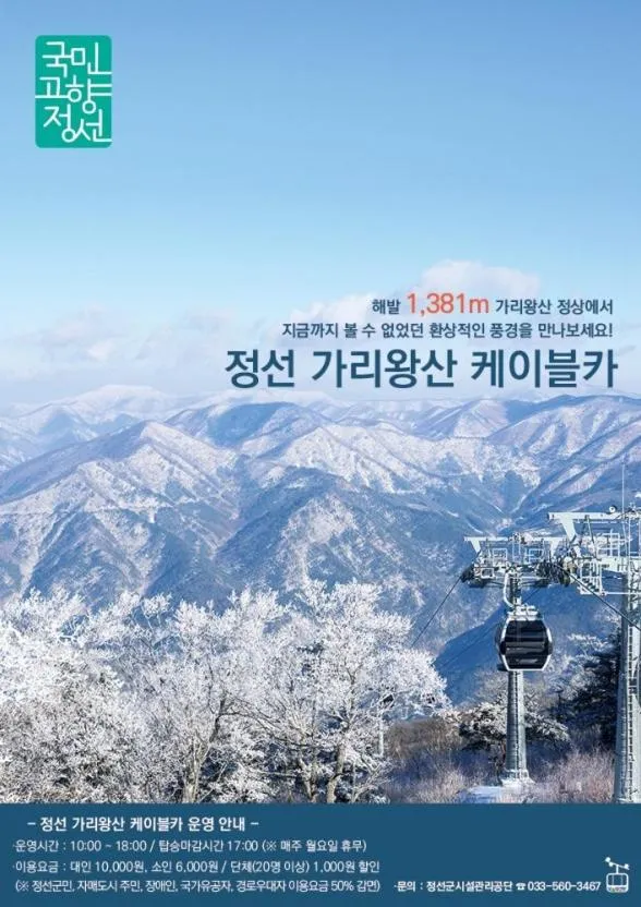 Pine Forest Jeongseon Alpine Resort