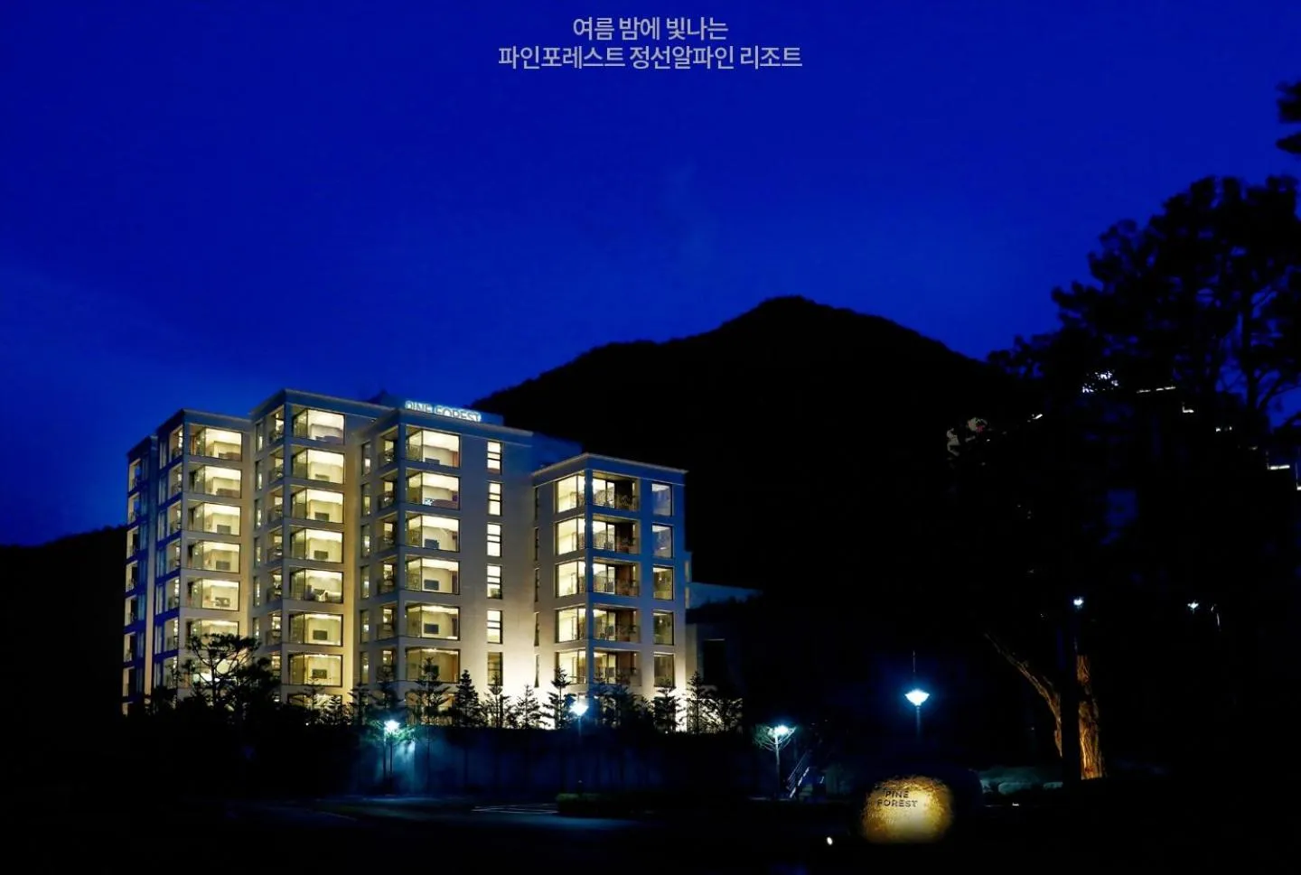 Pine Forest Jeongseon Alpine Resort