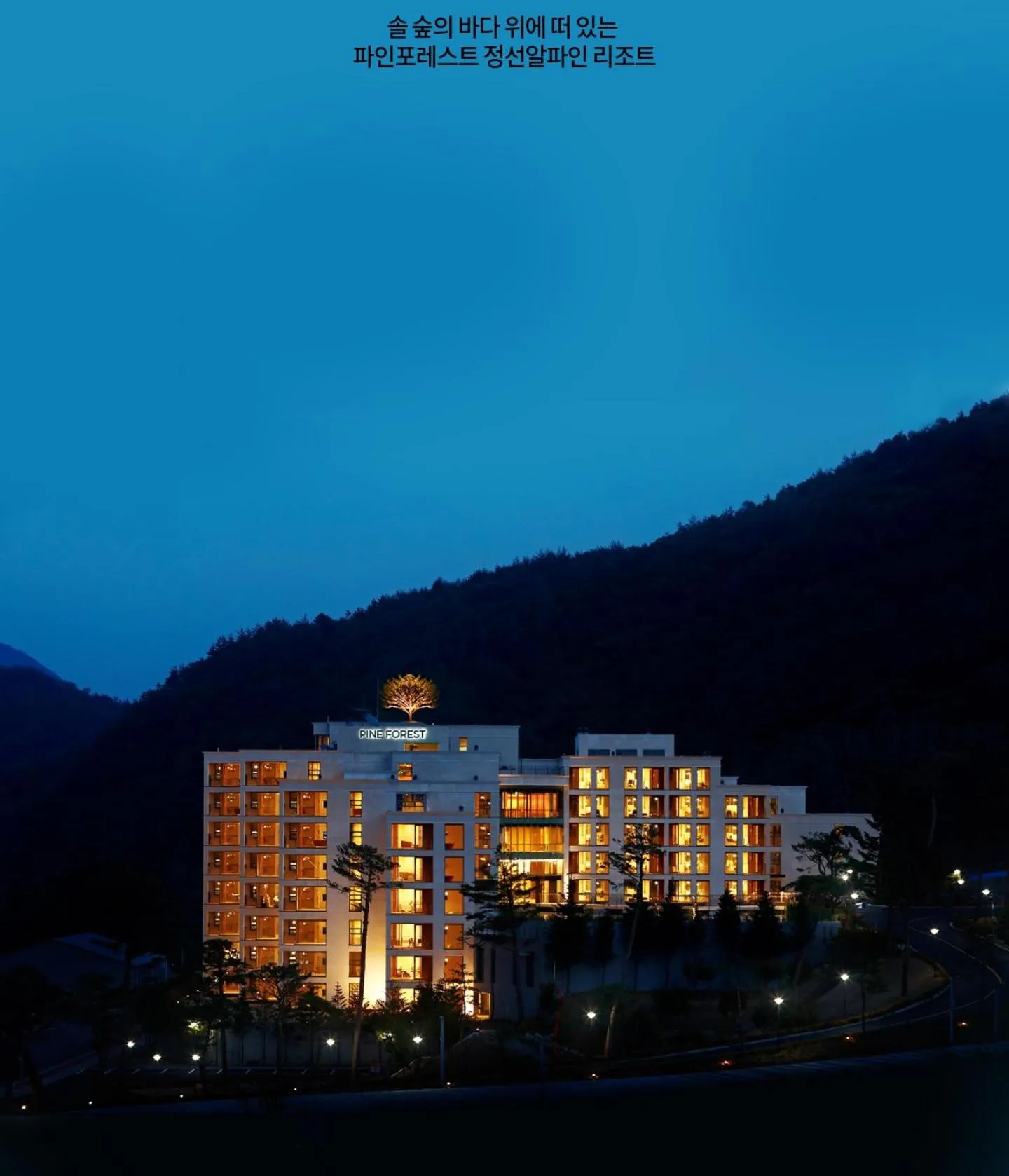 Pine Forest Jeongseon Alpine Resort