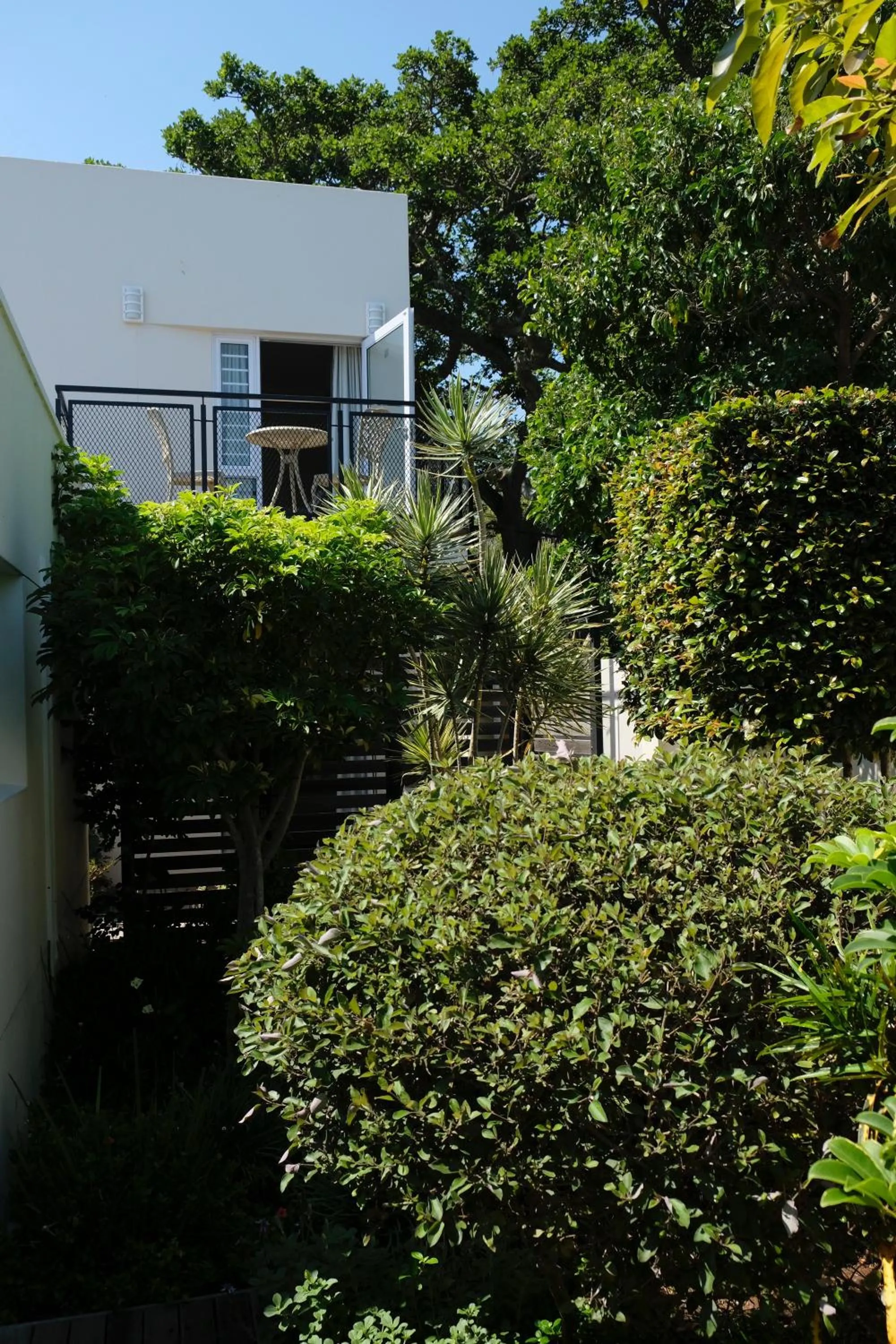 Garden view in Gardenview Guest House