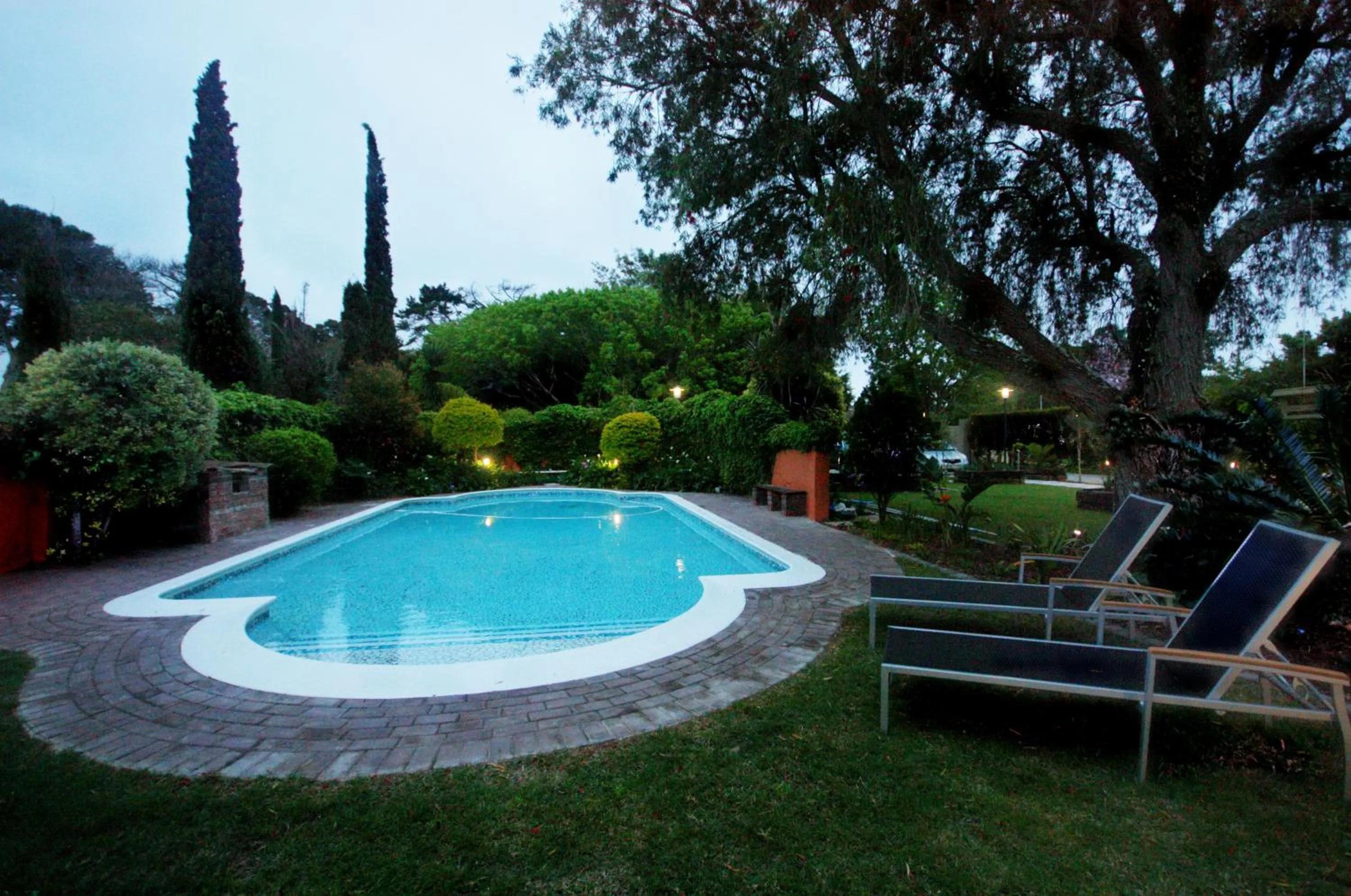 Garden in Gardenview Guest House