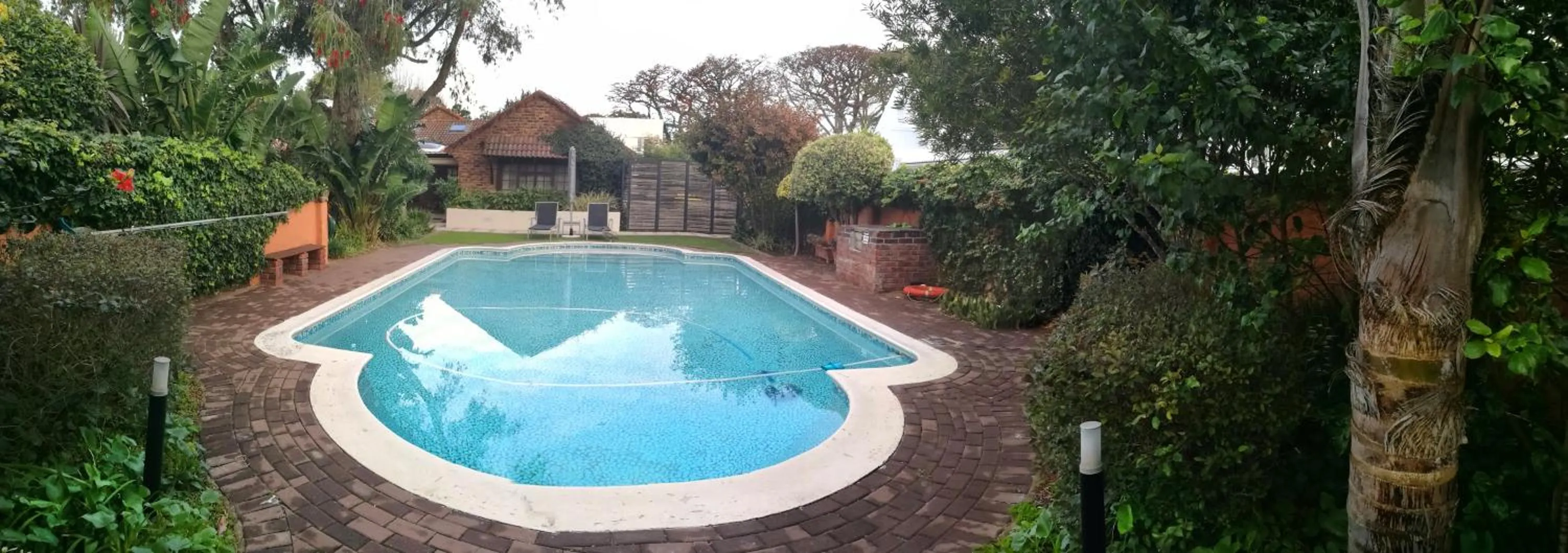 Garden in Gardenview Guest House