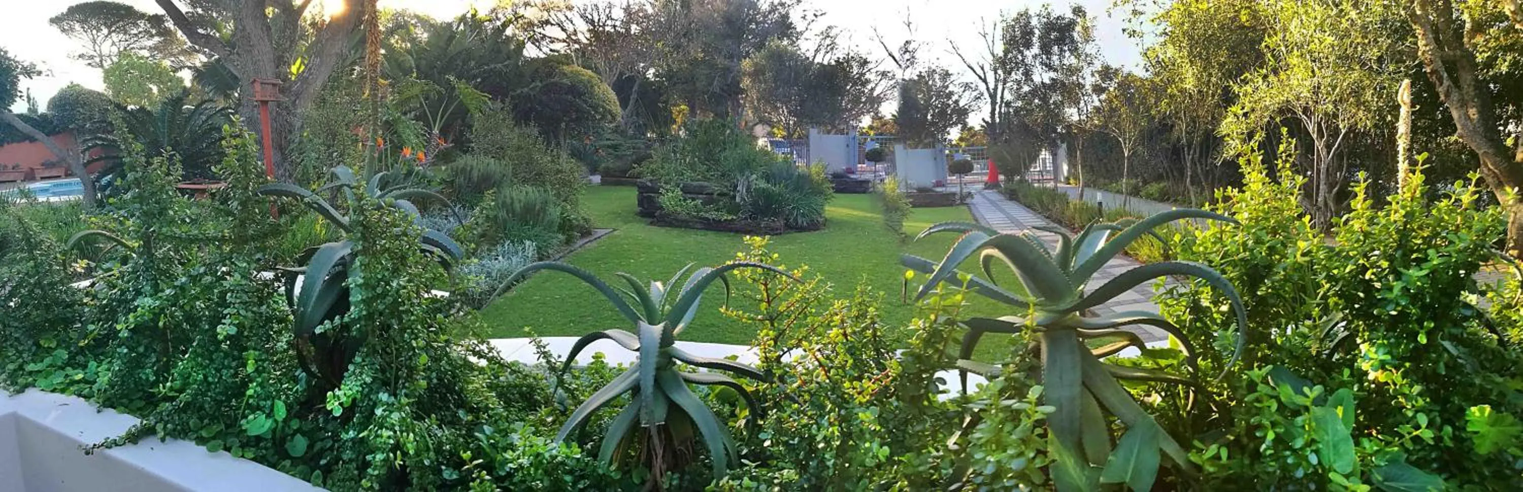 Garden in Gardenview Guest House