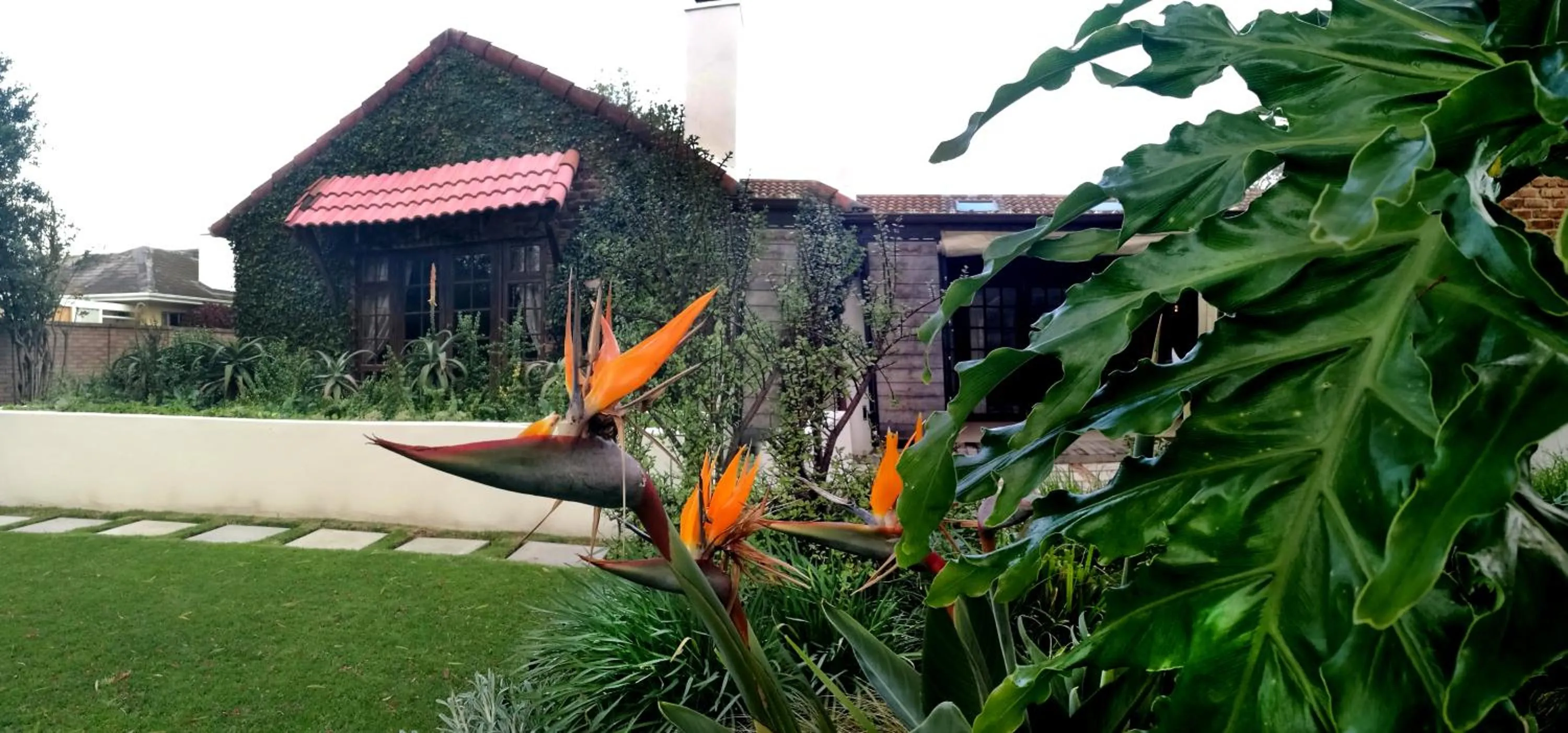 Garden in Gardenview Guest House