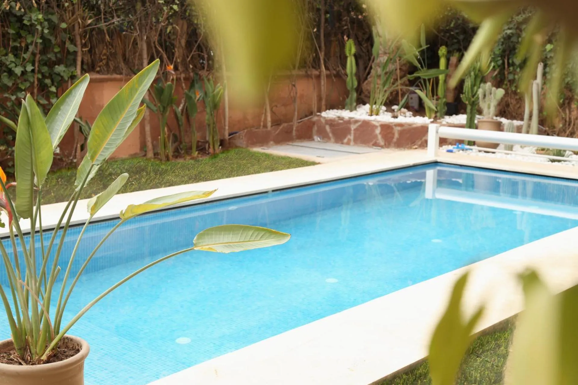 The Ruby Apartment with Private Swimming Pool - Hivernage Quarter - By Goldex Marrakech