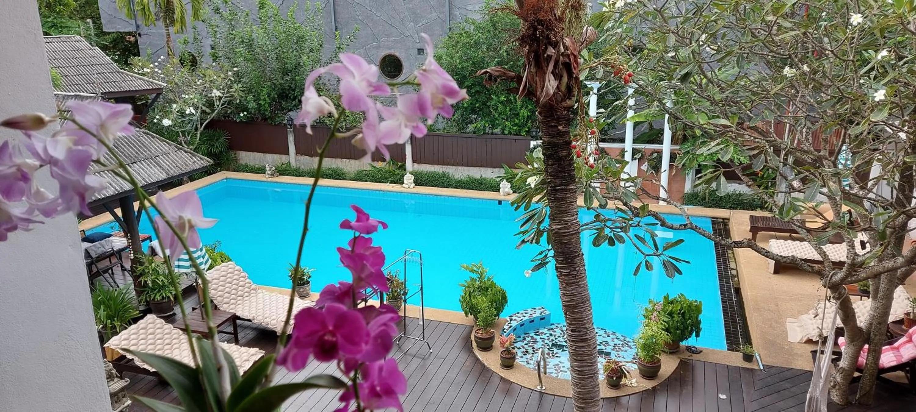 Pool view in Phangan Paragon Resort & Spa by Pure Lifestyle