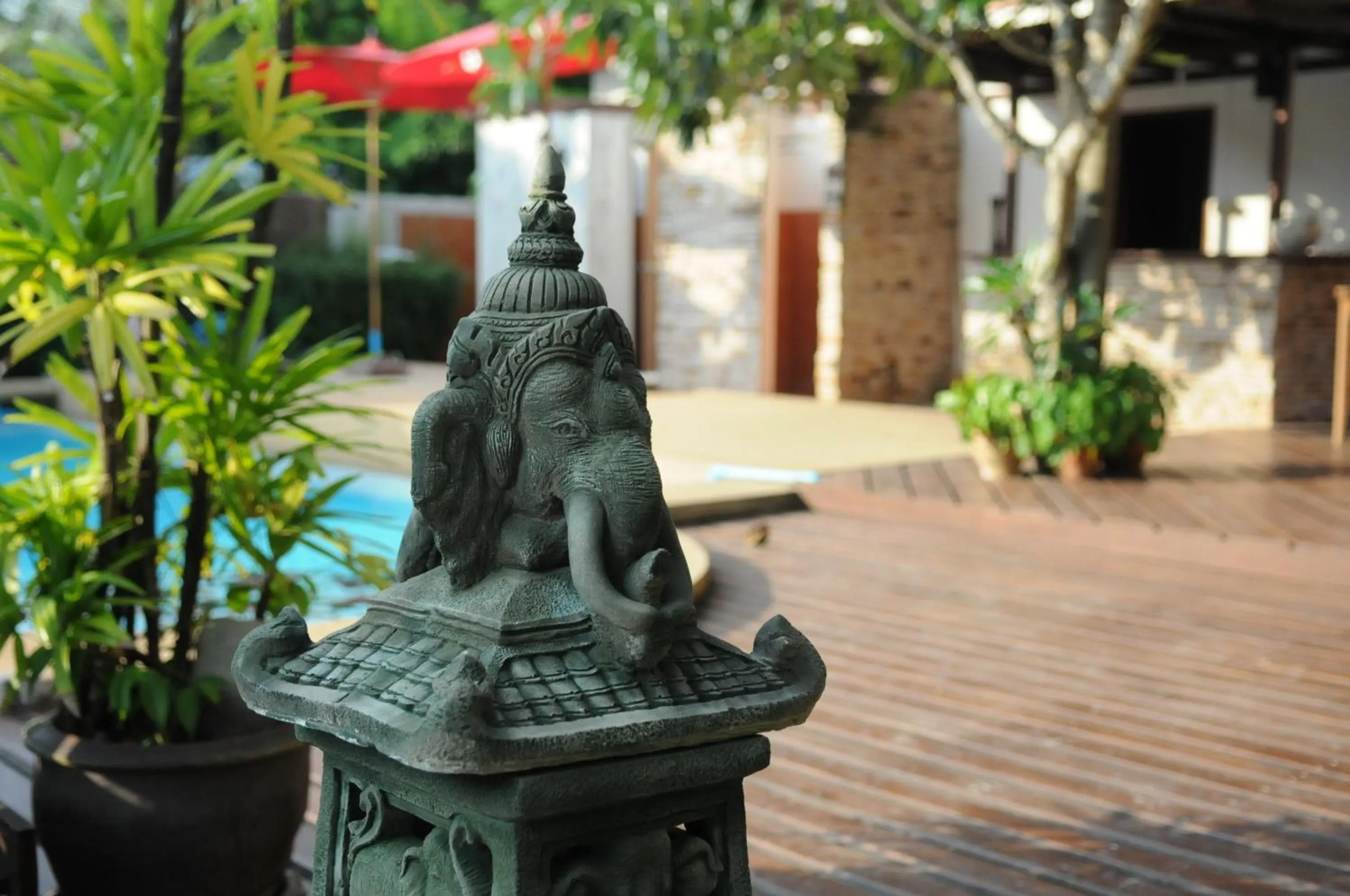 Restaurant/places to eat in Phangan Paragon Resort & Spa by Pure Lifestyle