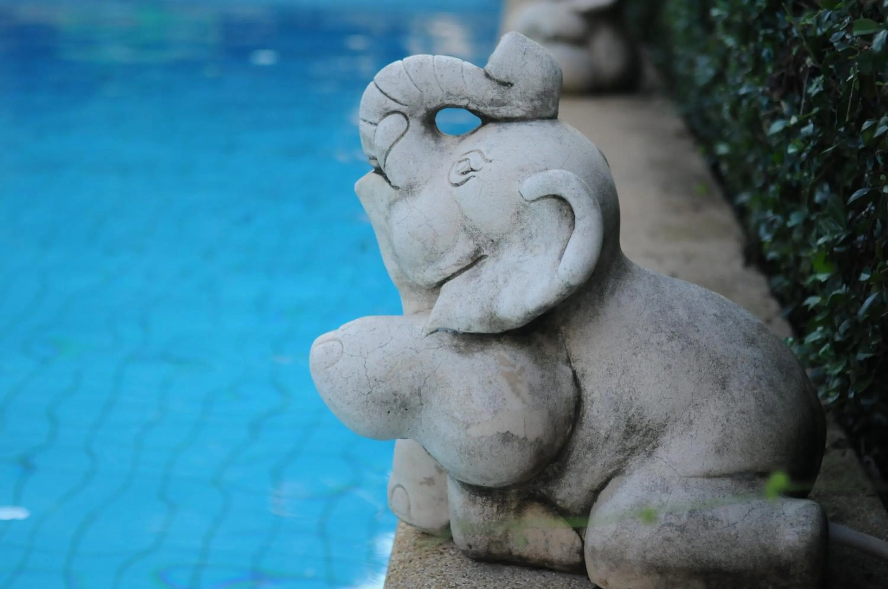 Swimming pool in Phangan Paragon Resort & Spa by Pure Lifestyle