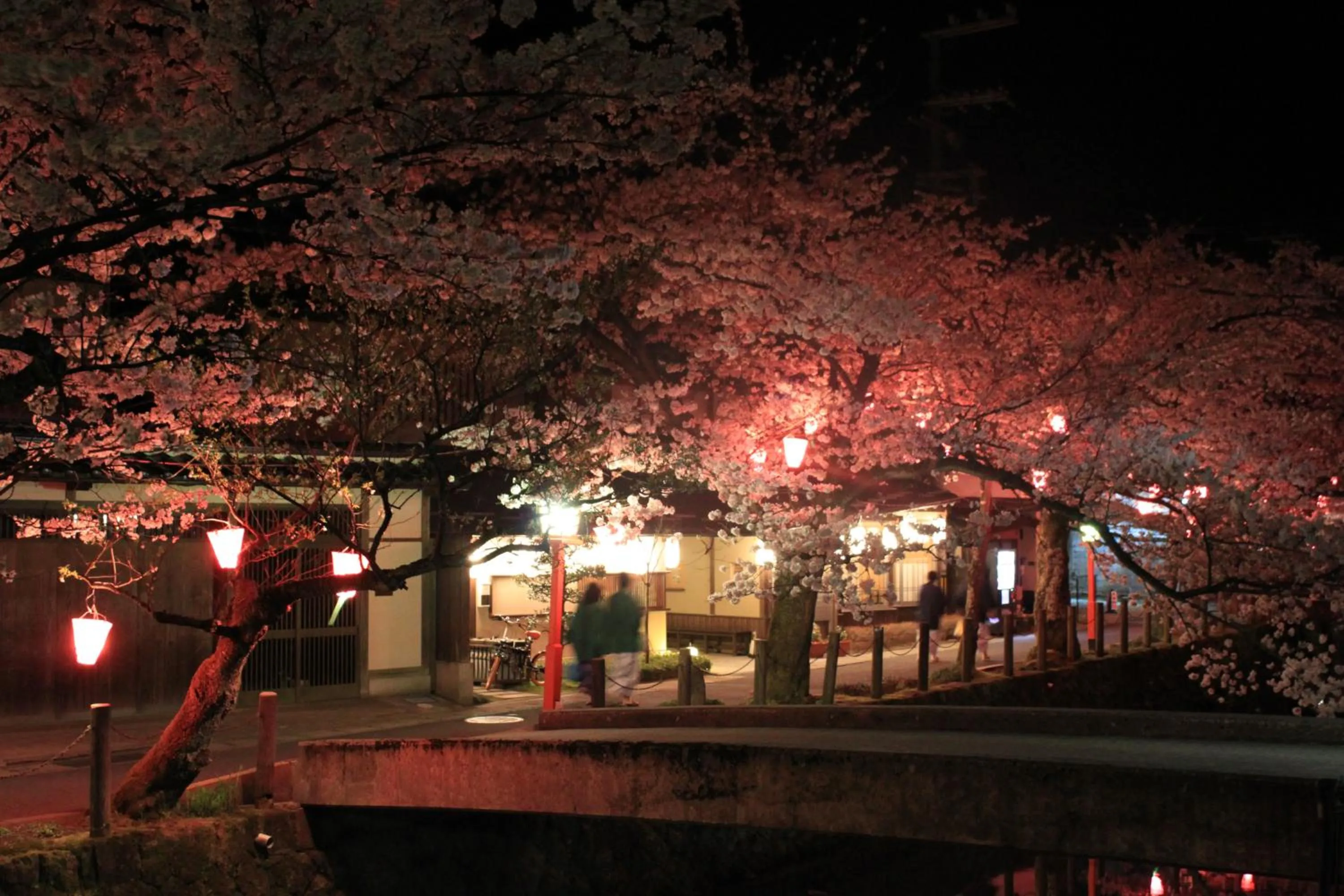 Spring in Kinosaki Onsen Nishimuraya Hotel Shogetsutei
