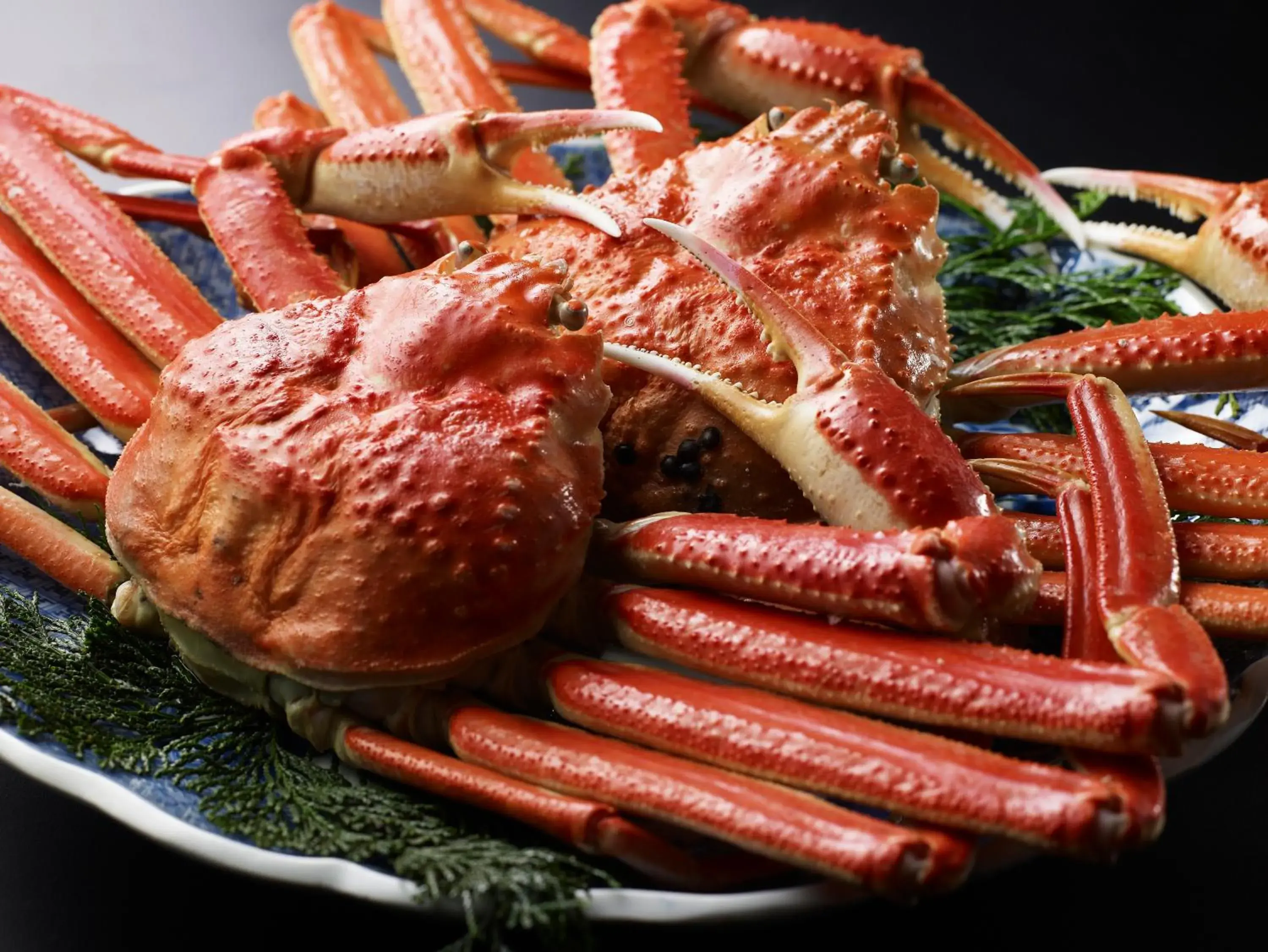 Food in Kinosaki Onsen Nishimuraya Hotel Shogetsutei Food in Kinosaki Onsen Nishimuraya Hotel Shogetsutei