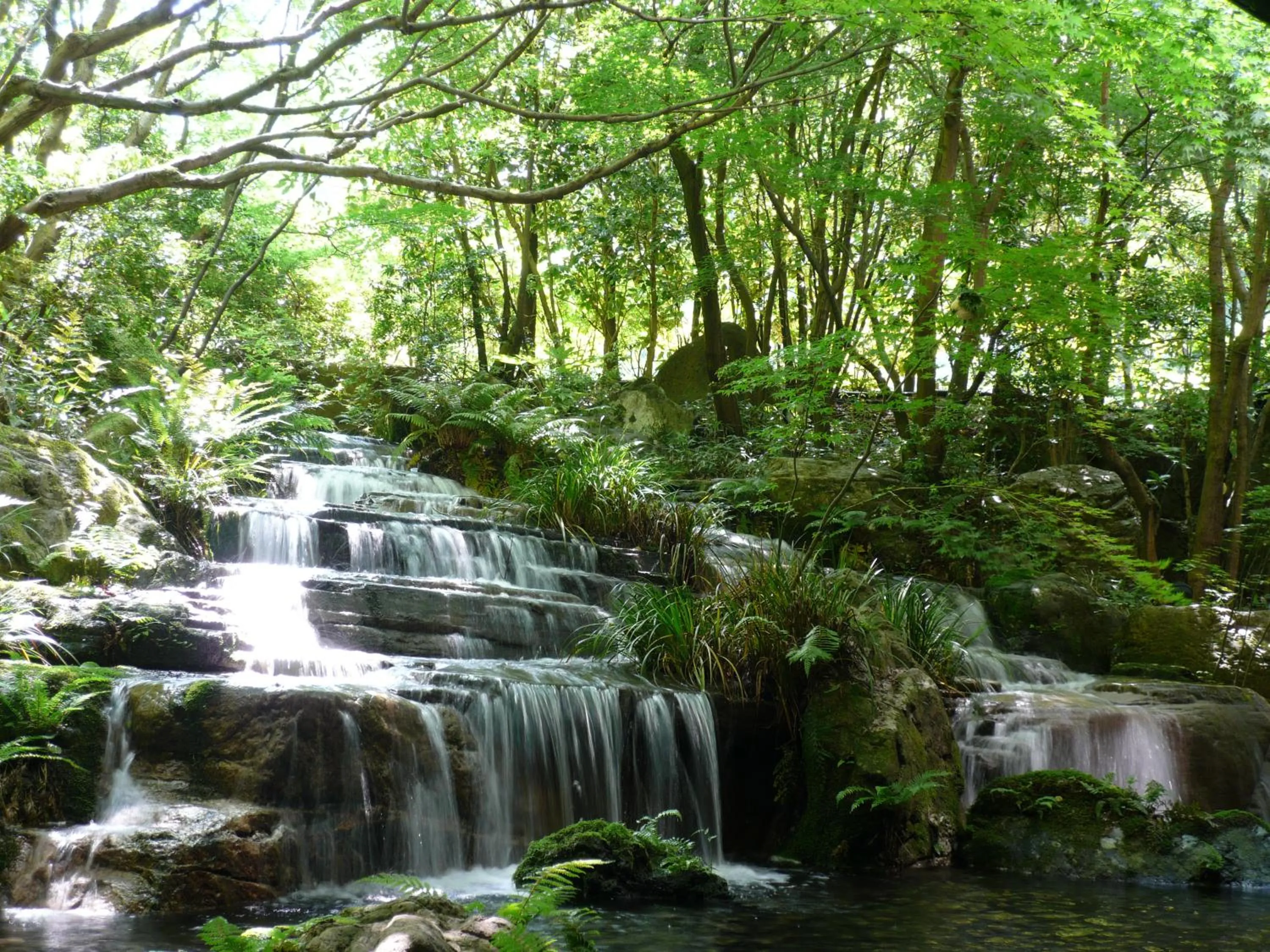 Garden in Kinosaki Onsen Nishimuraya Hotel Shogetsutei