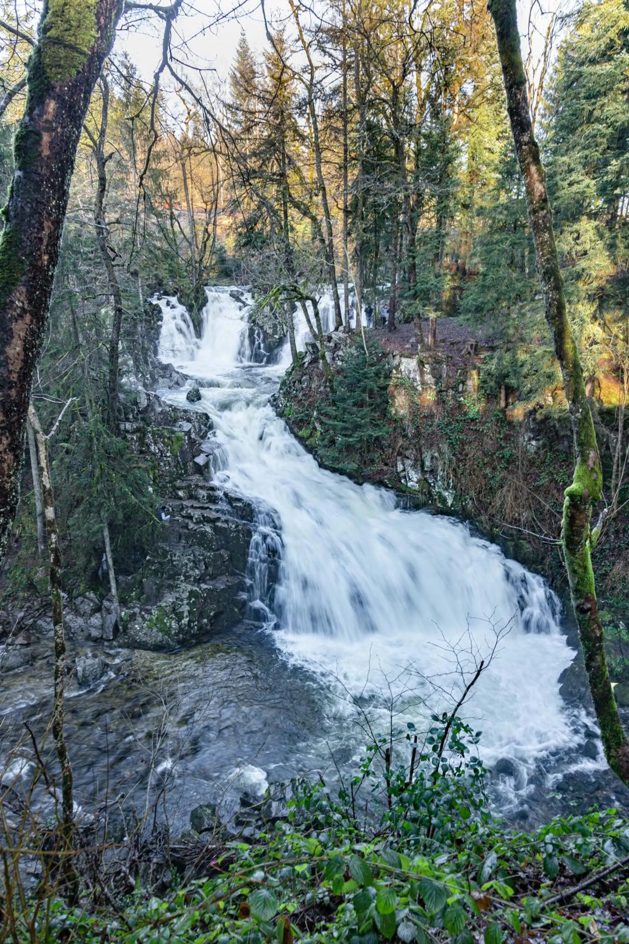 Hiking in Gîte Domaine des Iris