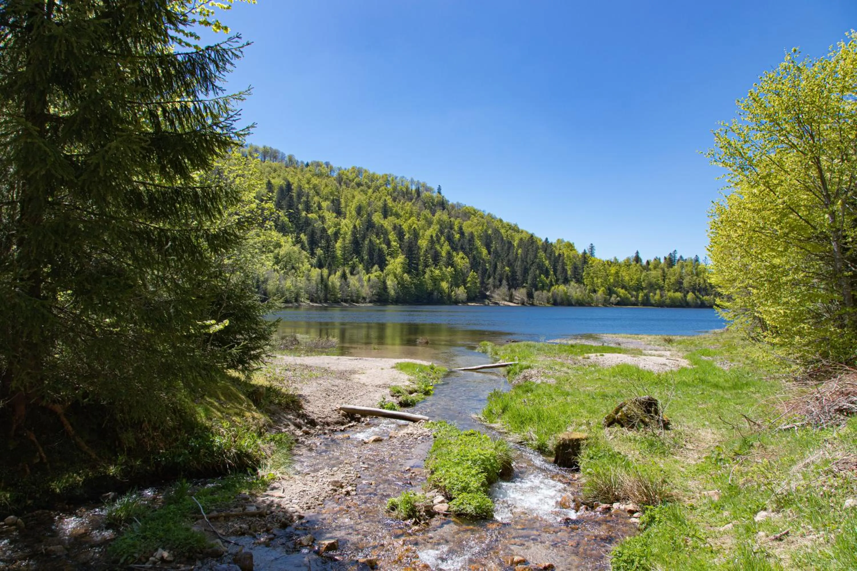 Hiking in Gîte Domaine des Iris