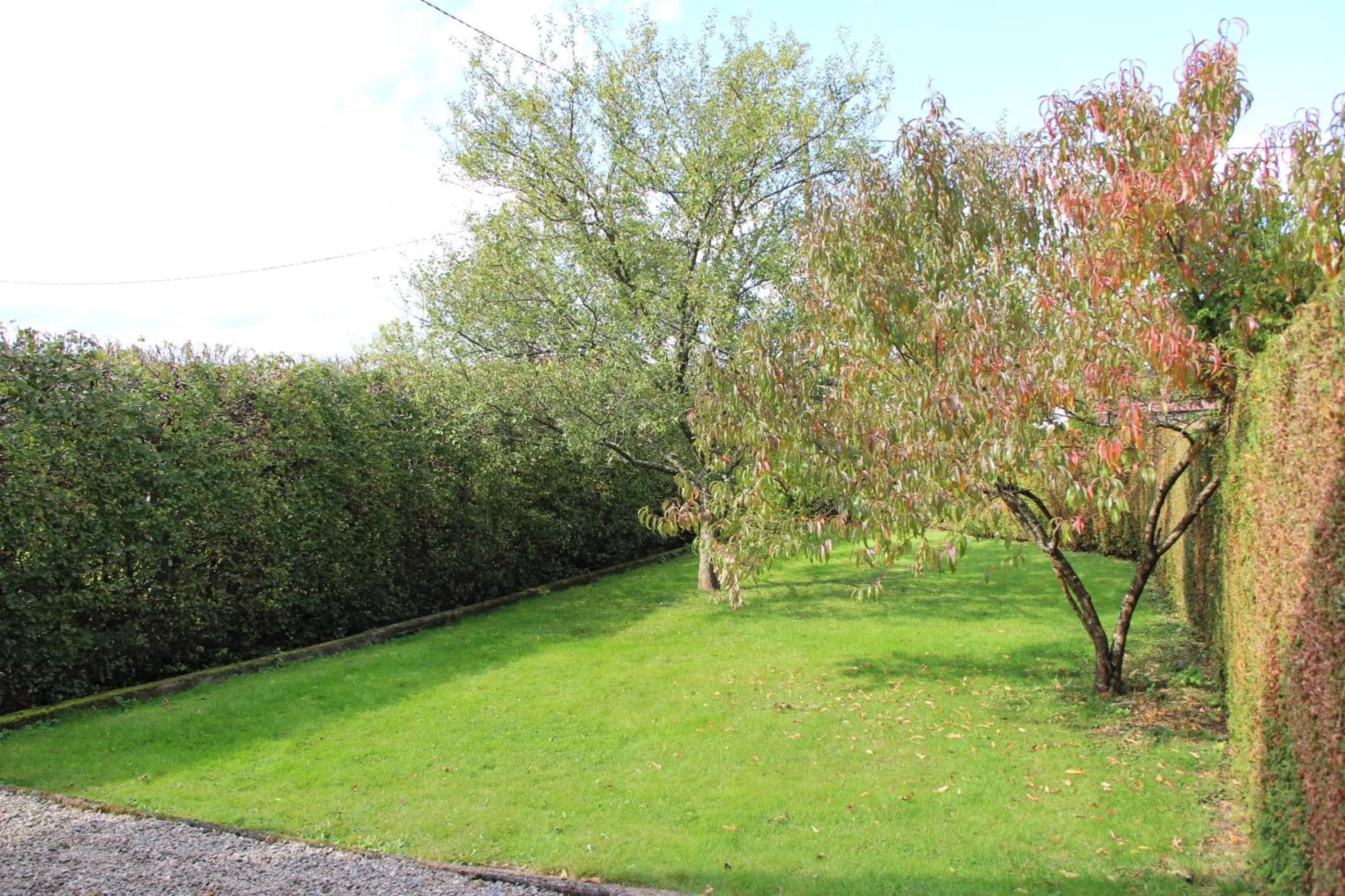 Garden in Gîte Domaine des Iris