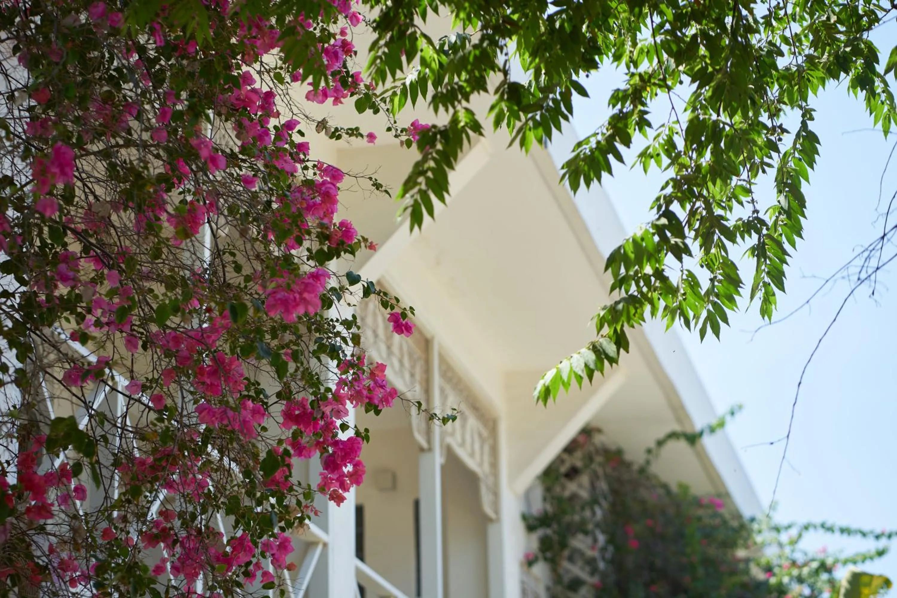 Day in ISLA INDAH RETREAT boutique hotel