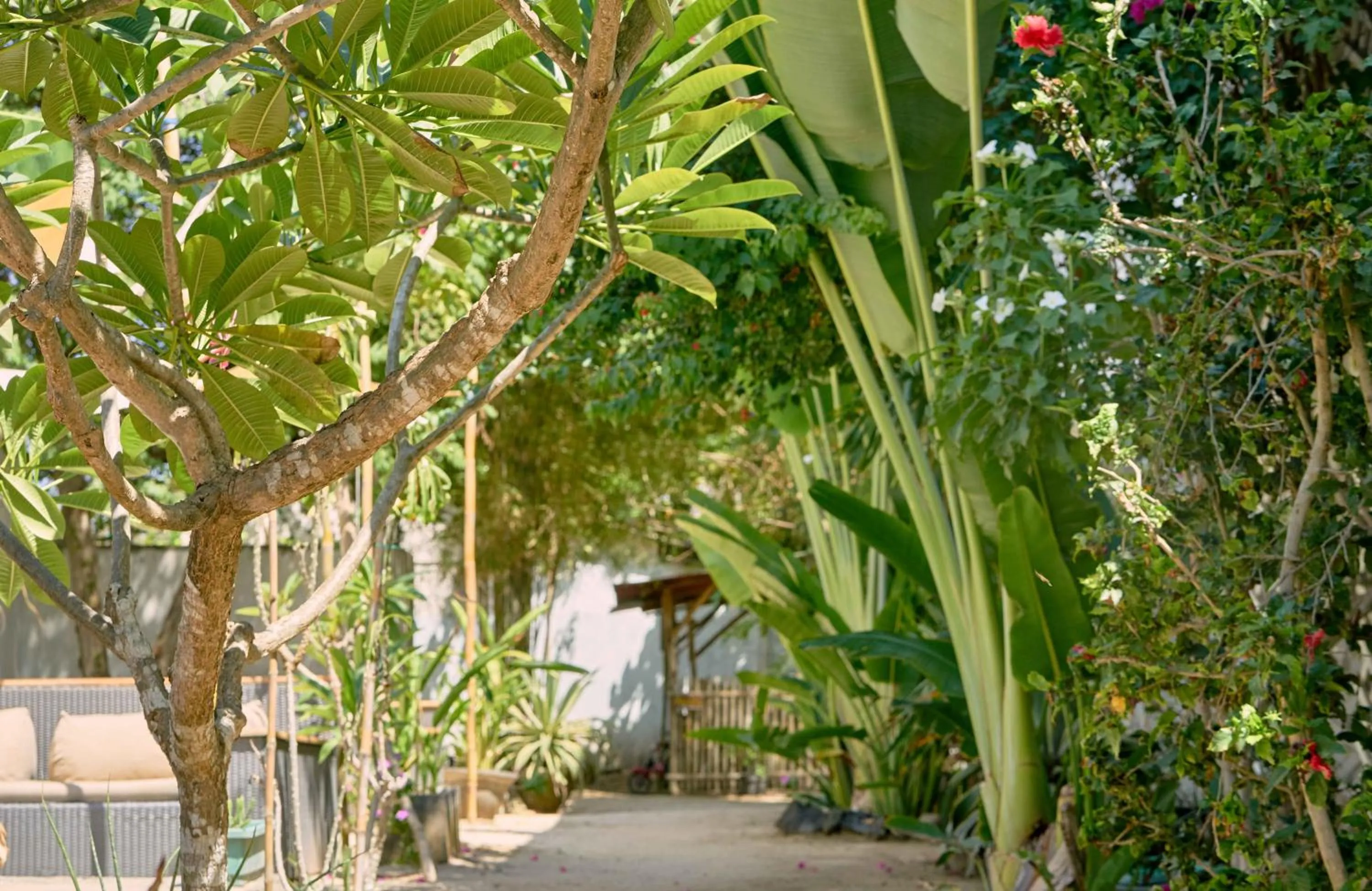 Garden in ISLA INDAH RETREAT boutique hotel