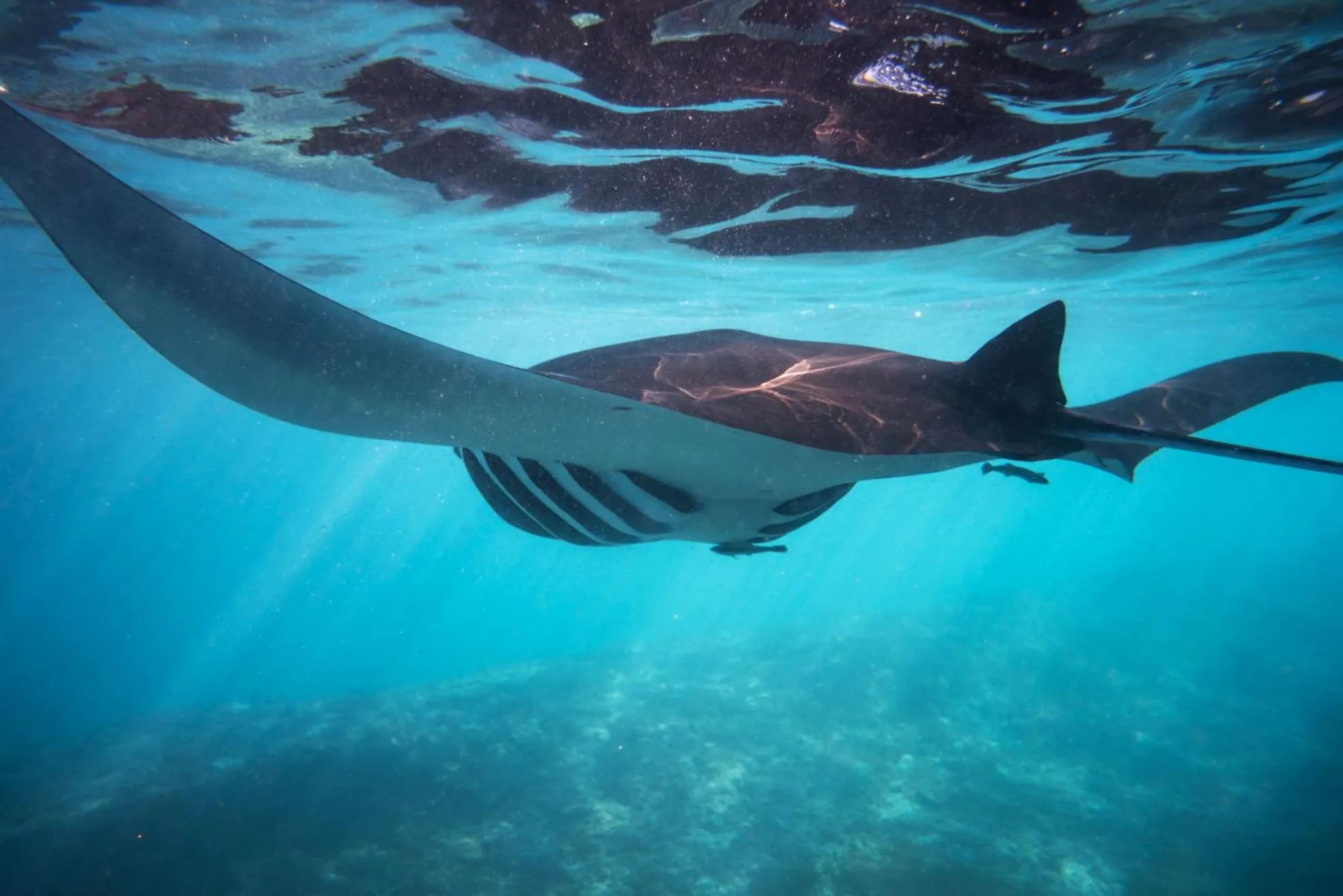 Natural landscape in ISLA INDAH RETREAT boutique hotel