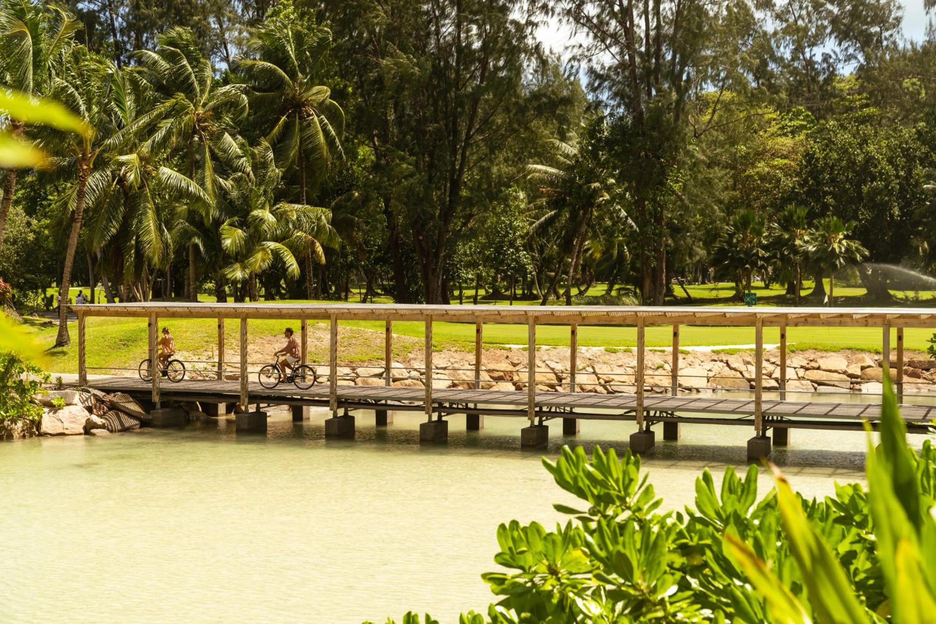 Activities in Constance Lemuria