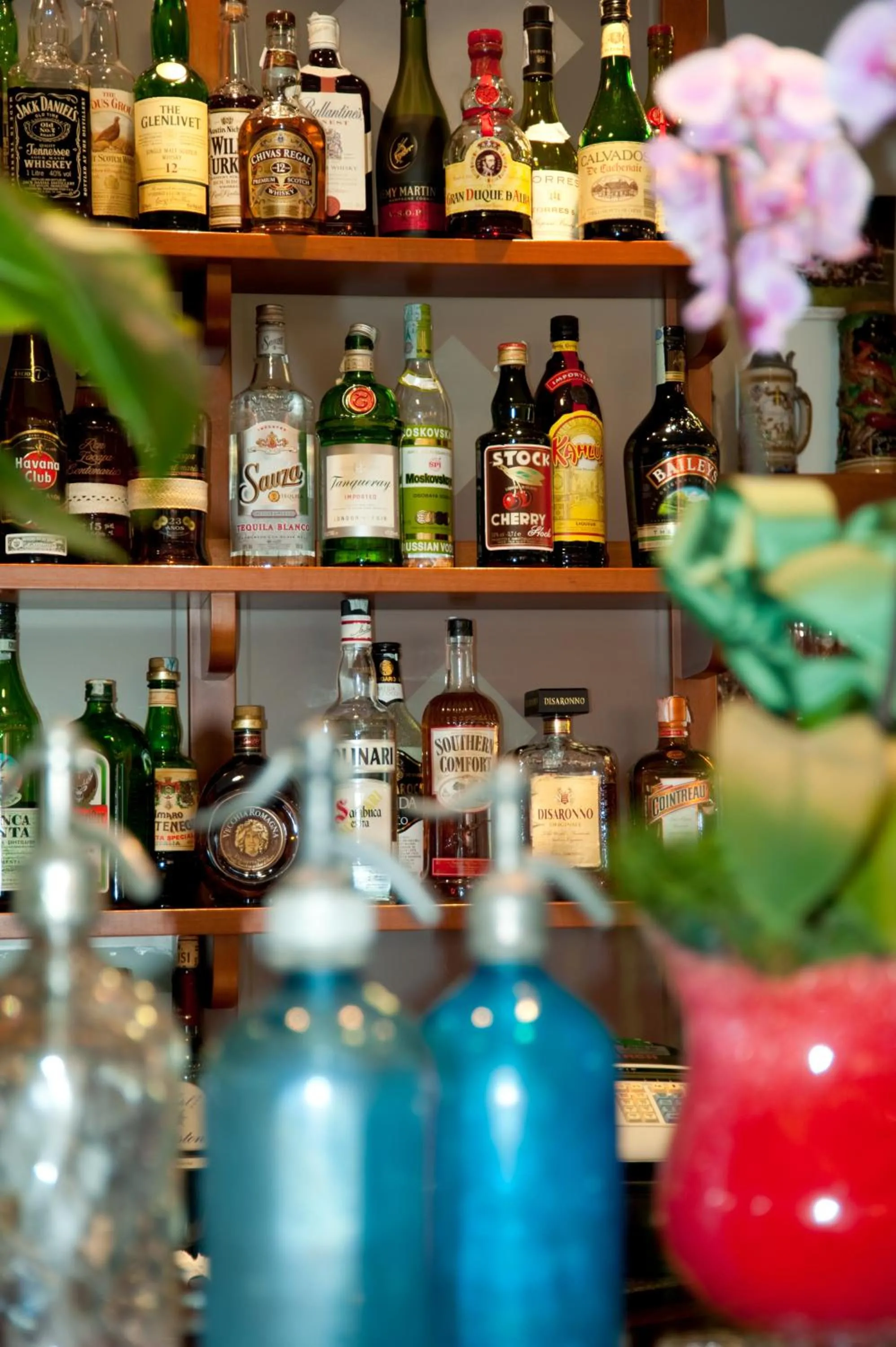 Lounge or bar in Hotel Ariston