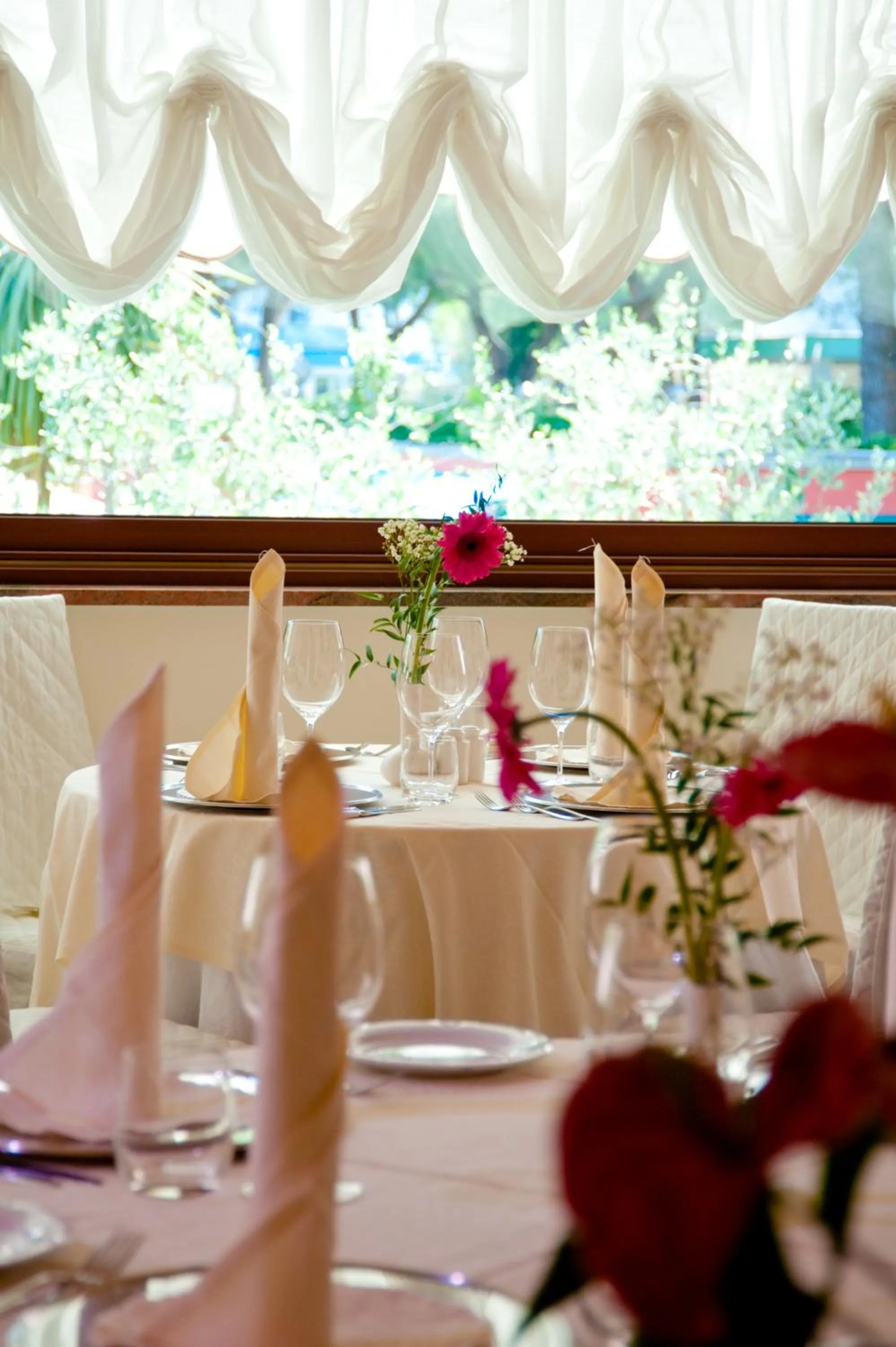 Restaurant/places to eat in Hotel Ariston