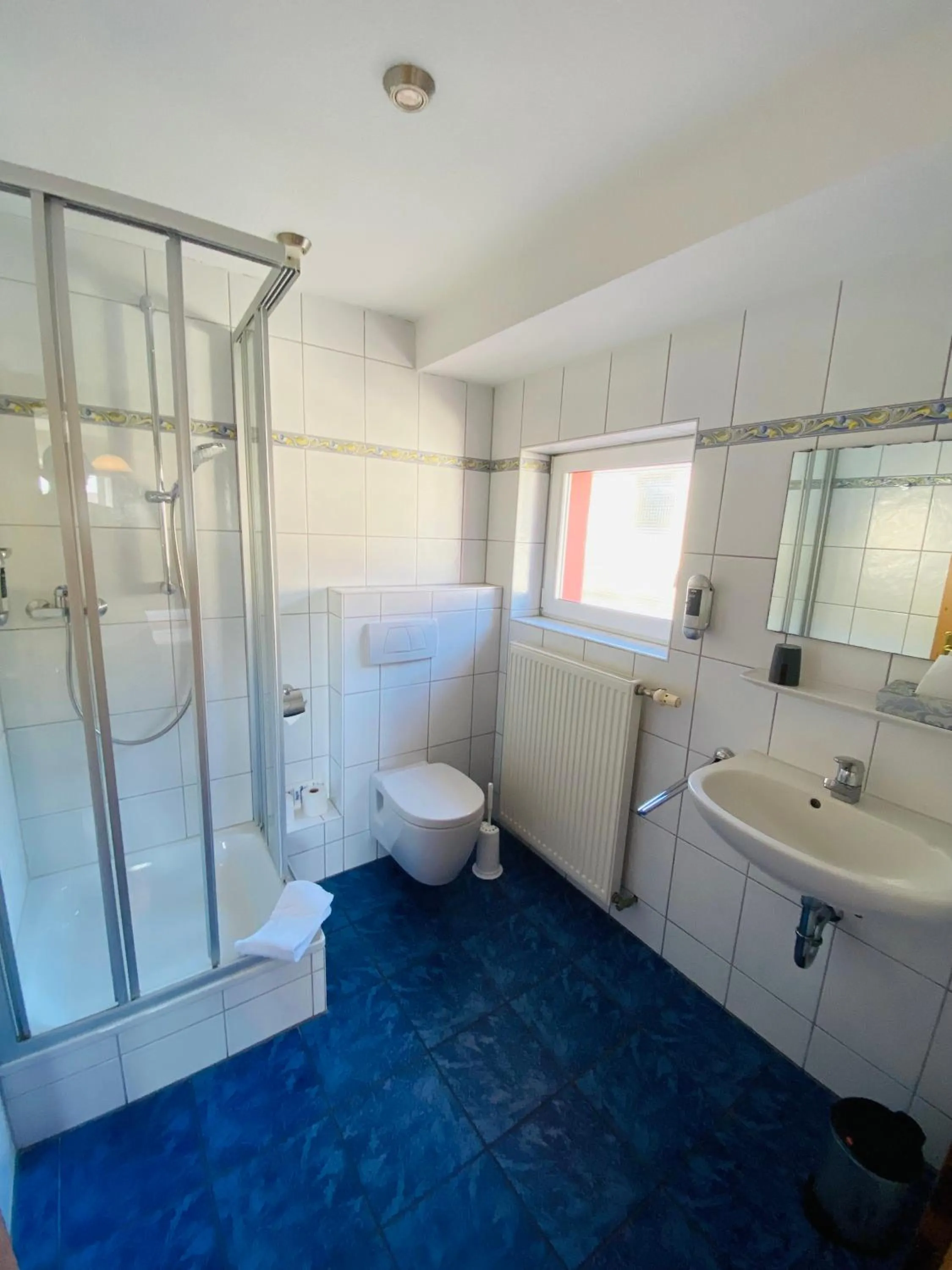 Shower in Gasthaus Elsäßer Hof