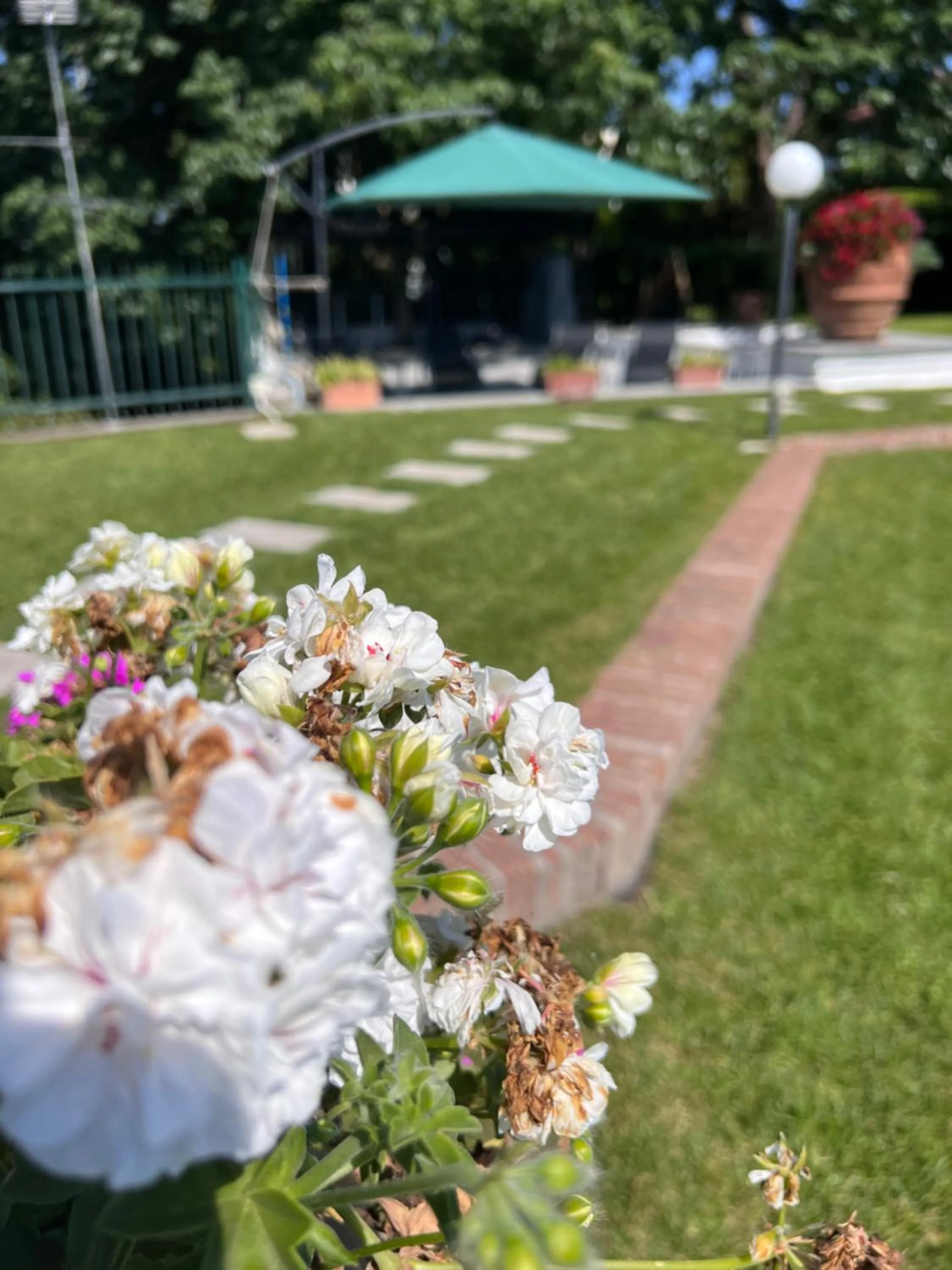 Garden in Villa Albina