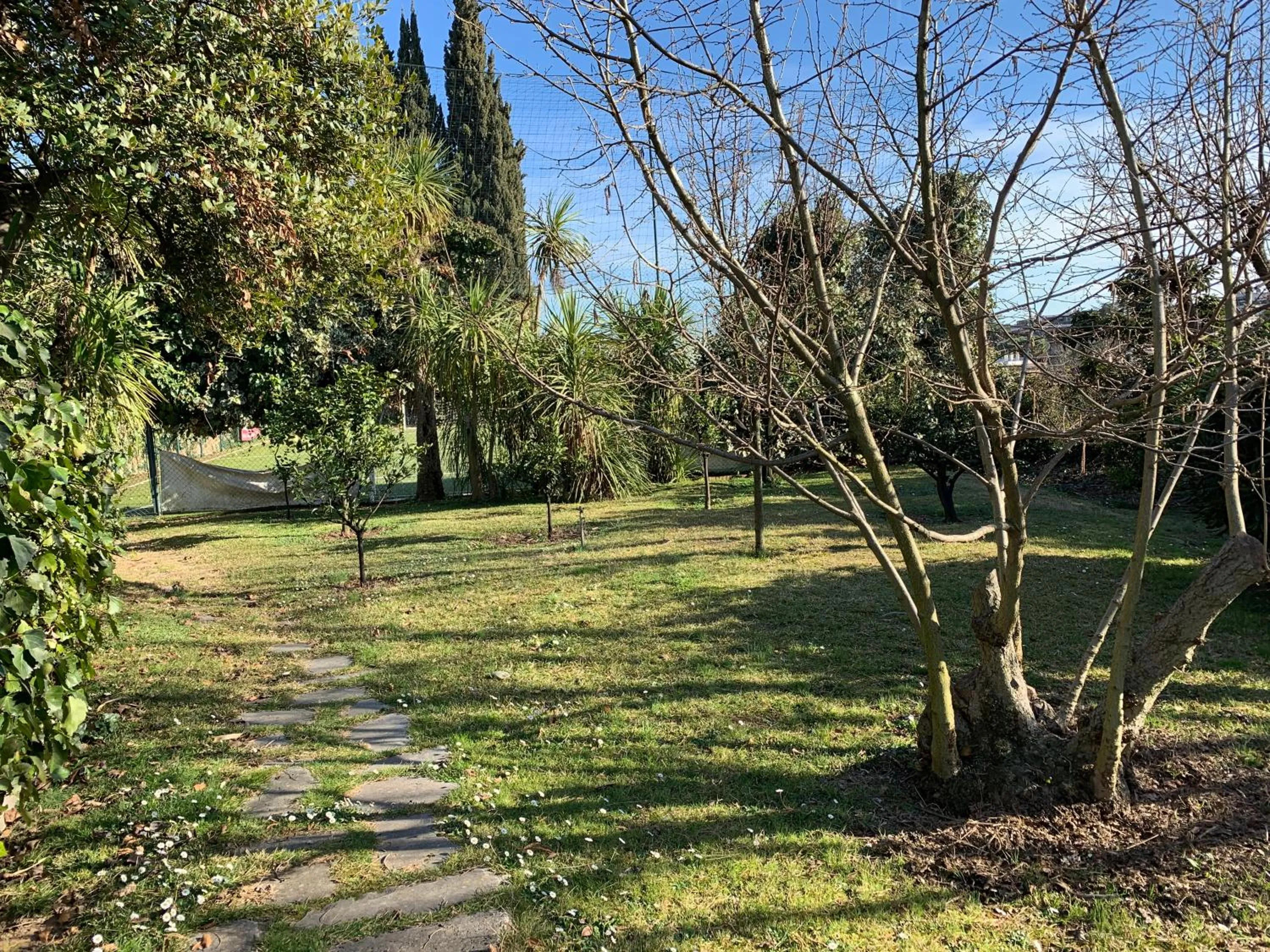 Natural landscape in Villa Albina