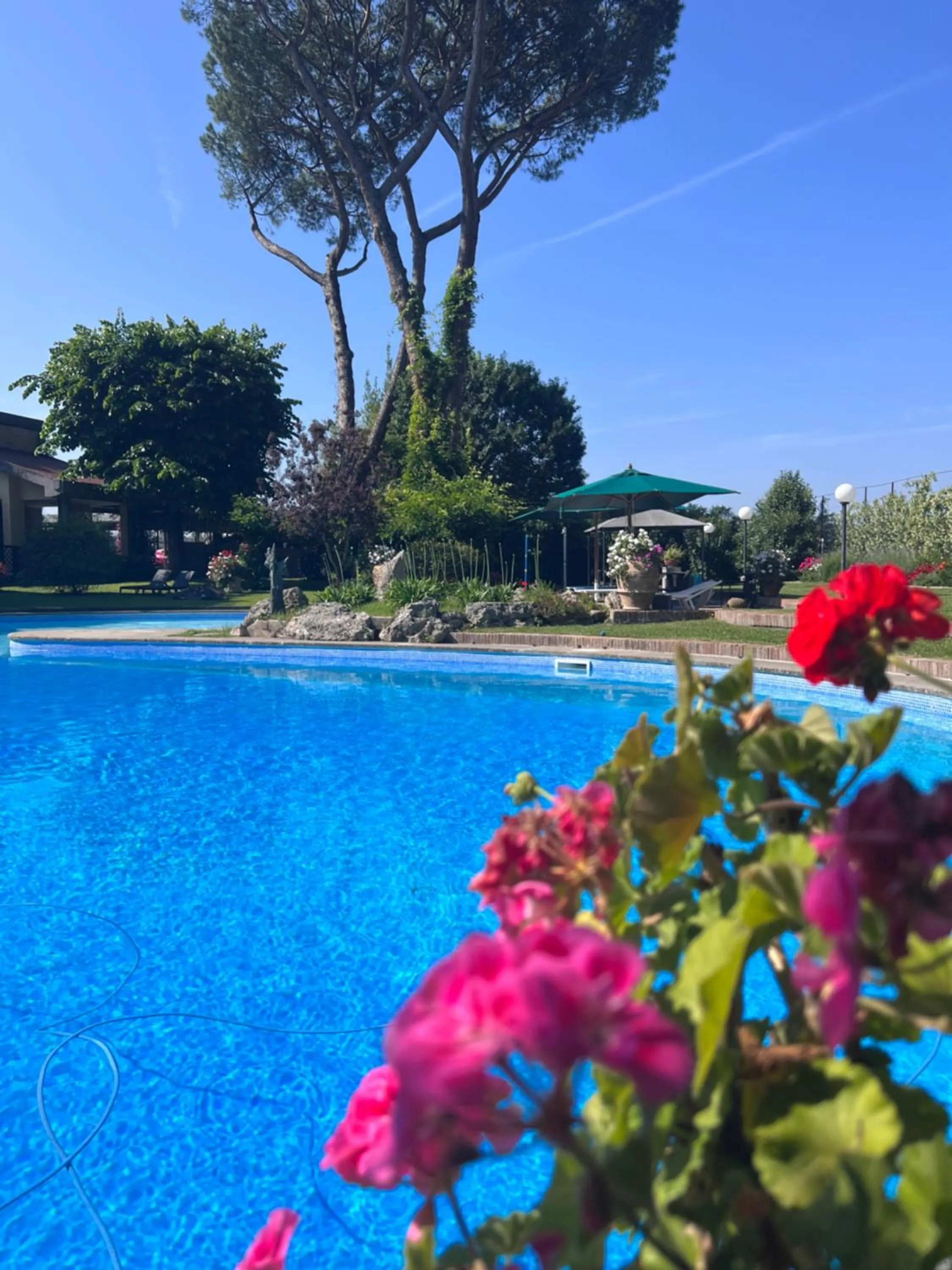 Garden view in Villa Albina