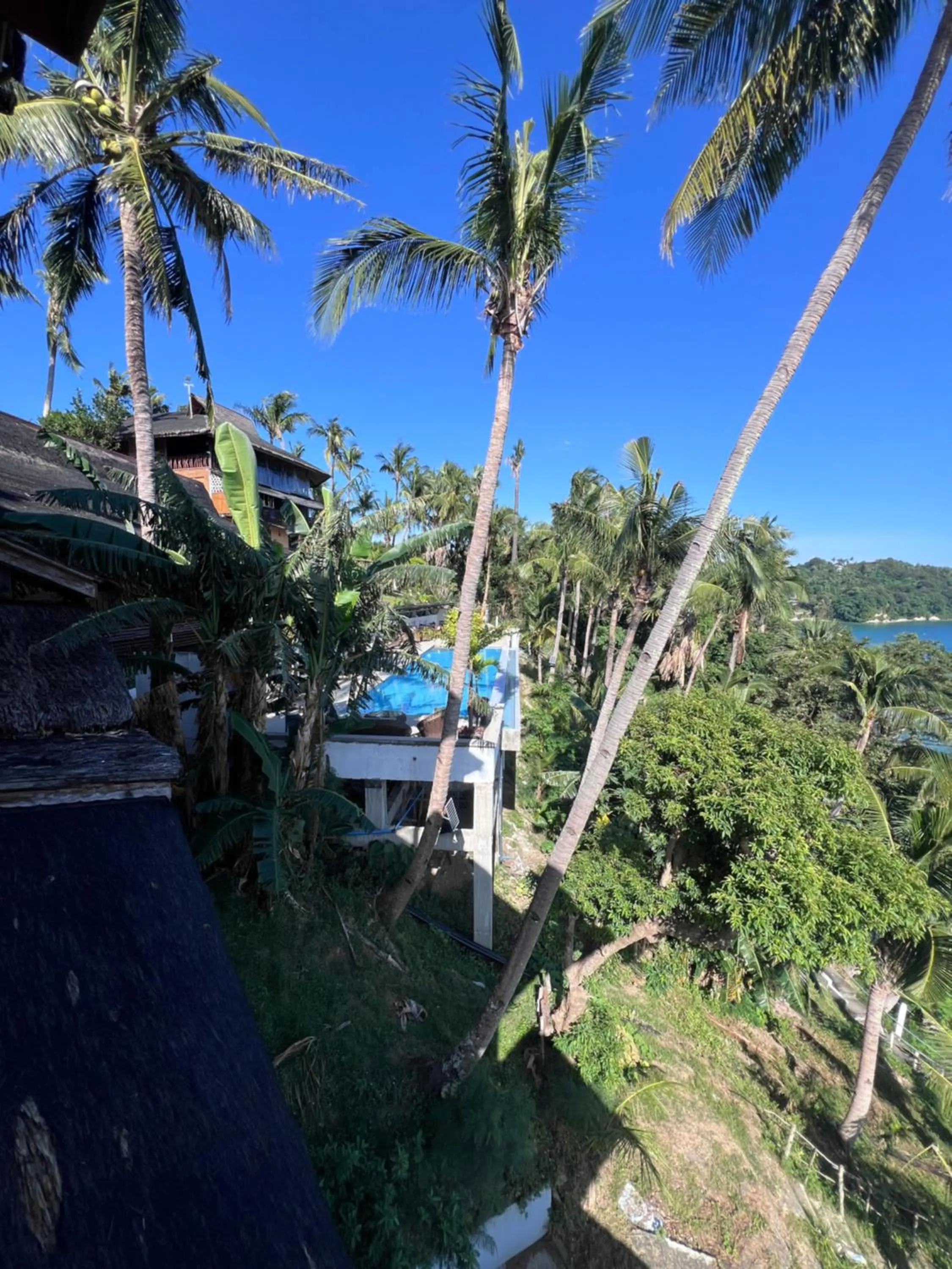 Natural landscape in Villa de Pico Highland Beach Resort