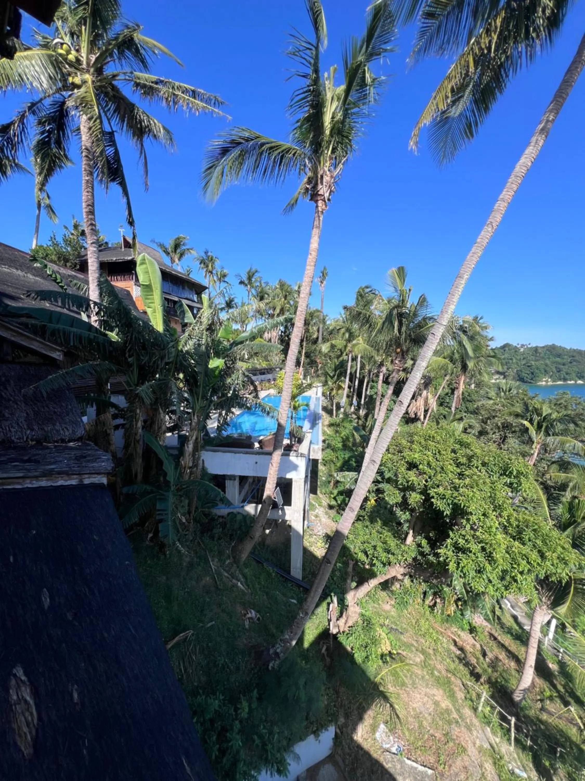 Natural landscape in Villa de Pico Highland Beach Resort