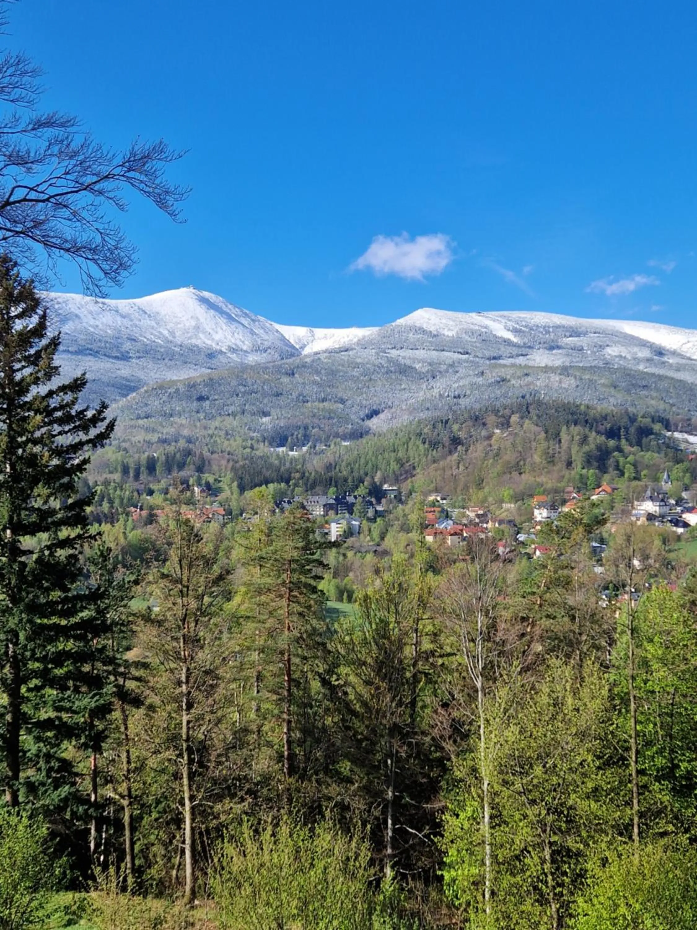 Spring in Zamek Księża Góra
