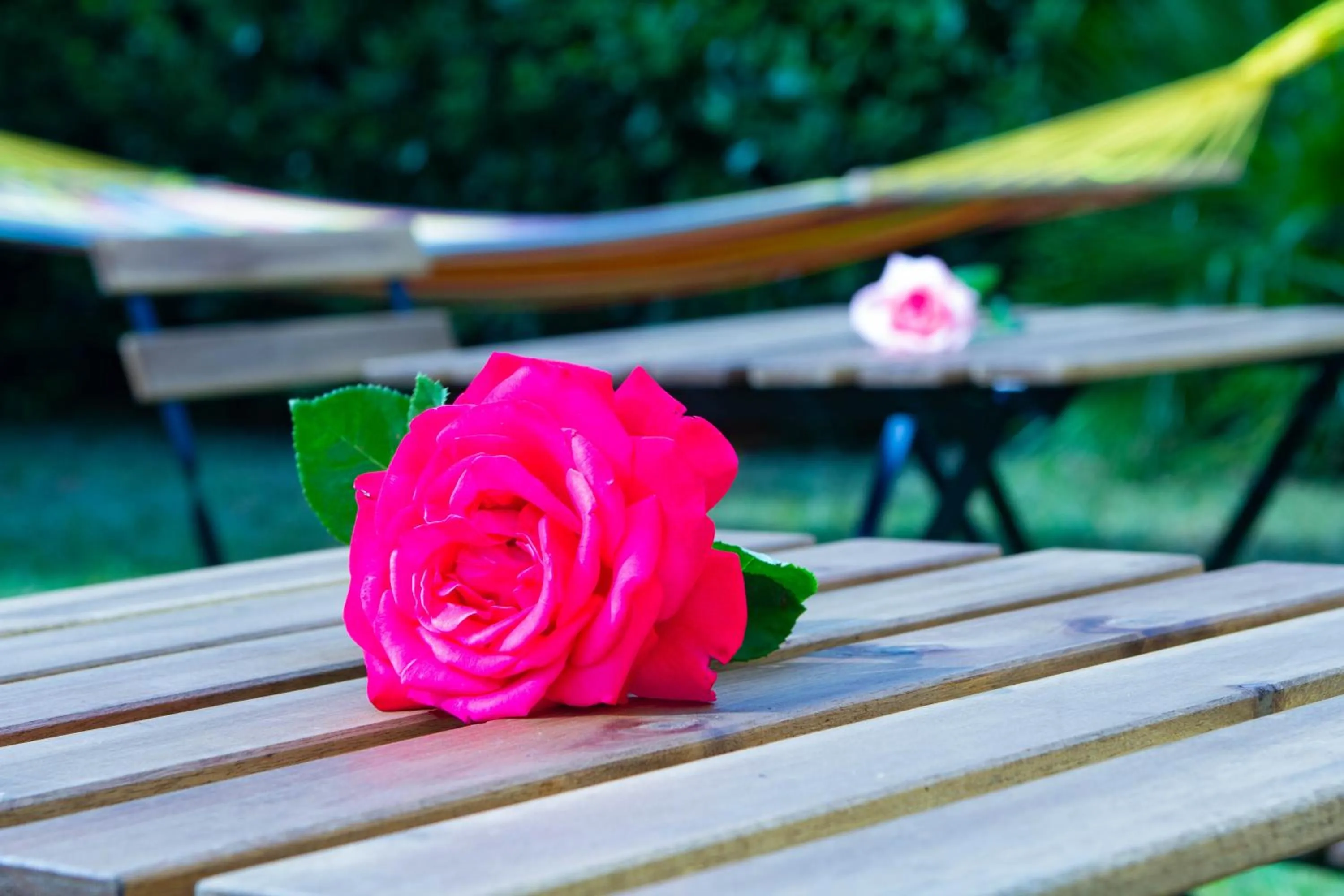 Property building in La bicicletta Rossa B&B